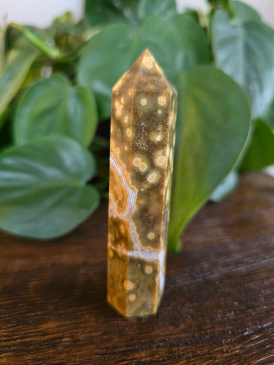Ocean Jasper Tower "D"