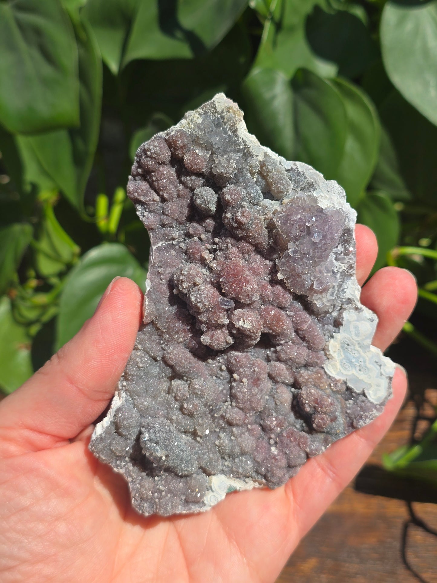 Brazilian Impression Amethyst Plate
