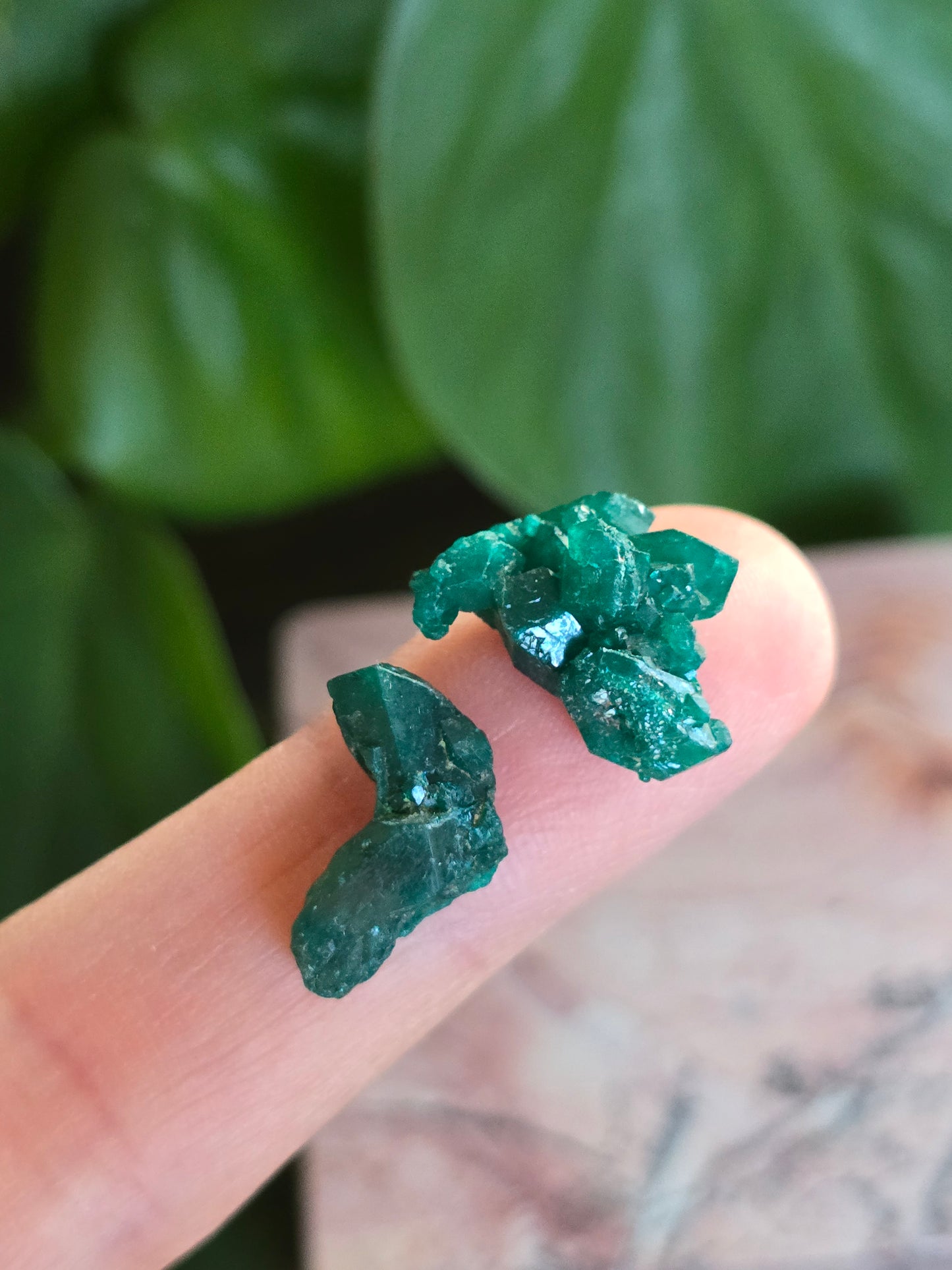 Dioptase Rough Specimen - Congo (3+5)