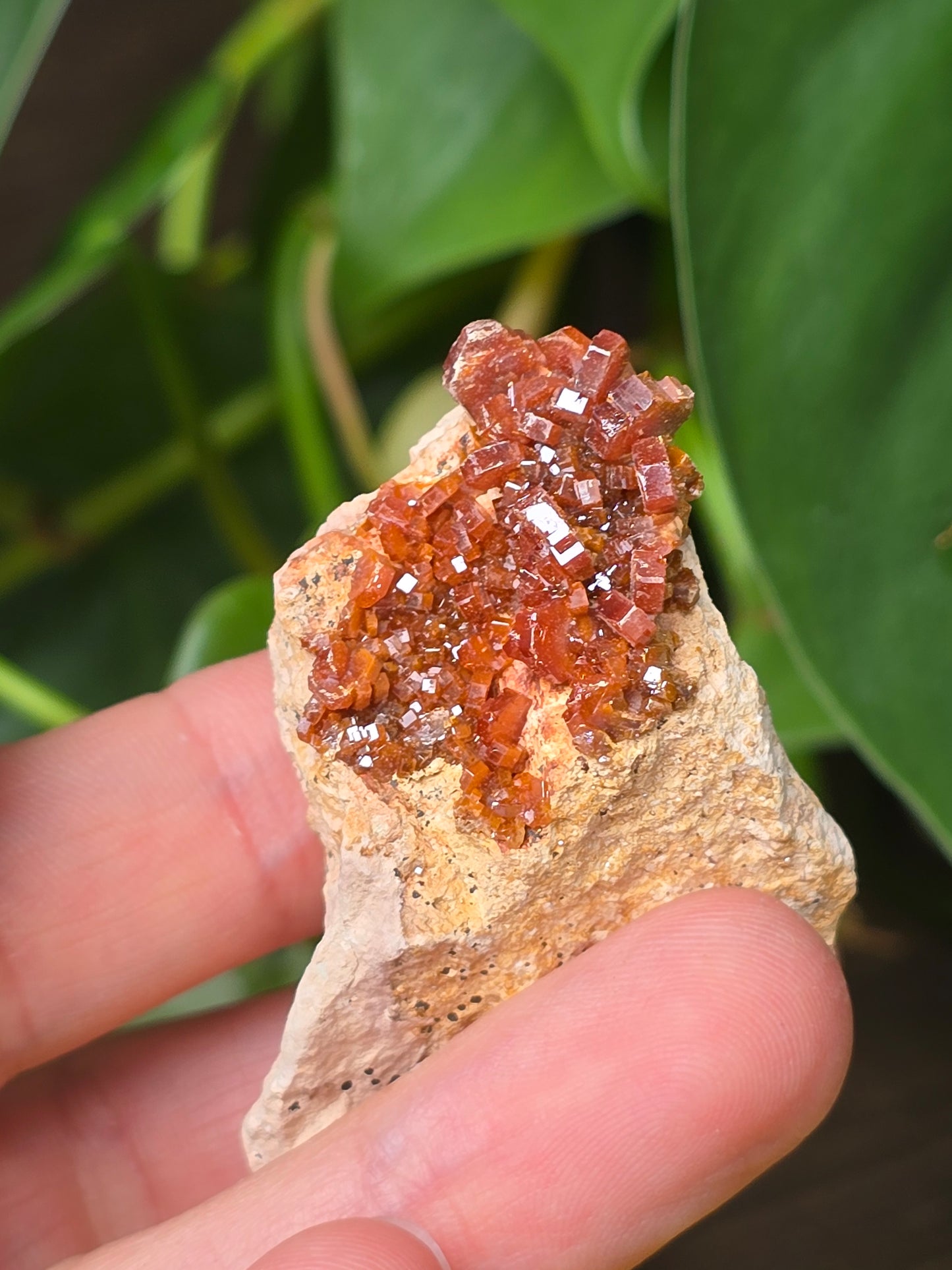 Vanadinite Cluster