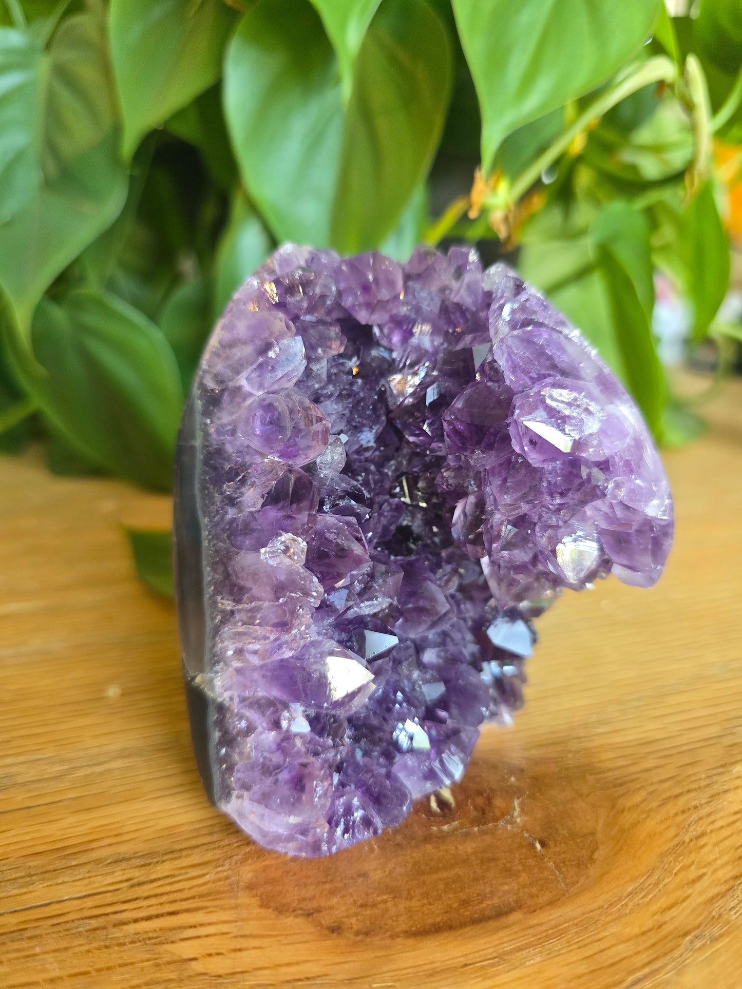 Druzy Amethyst Cluster