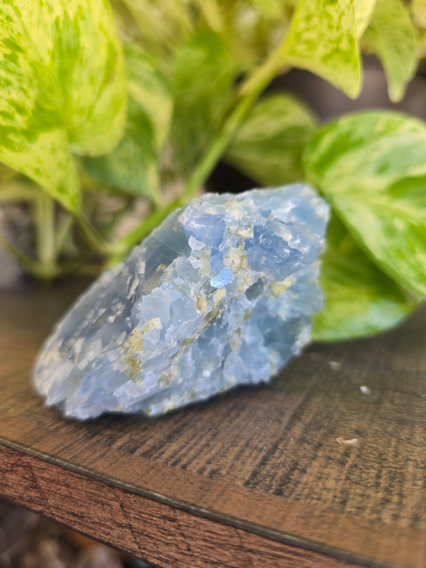 Celestite with Peridot Rough Specimen