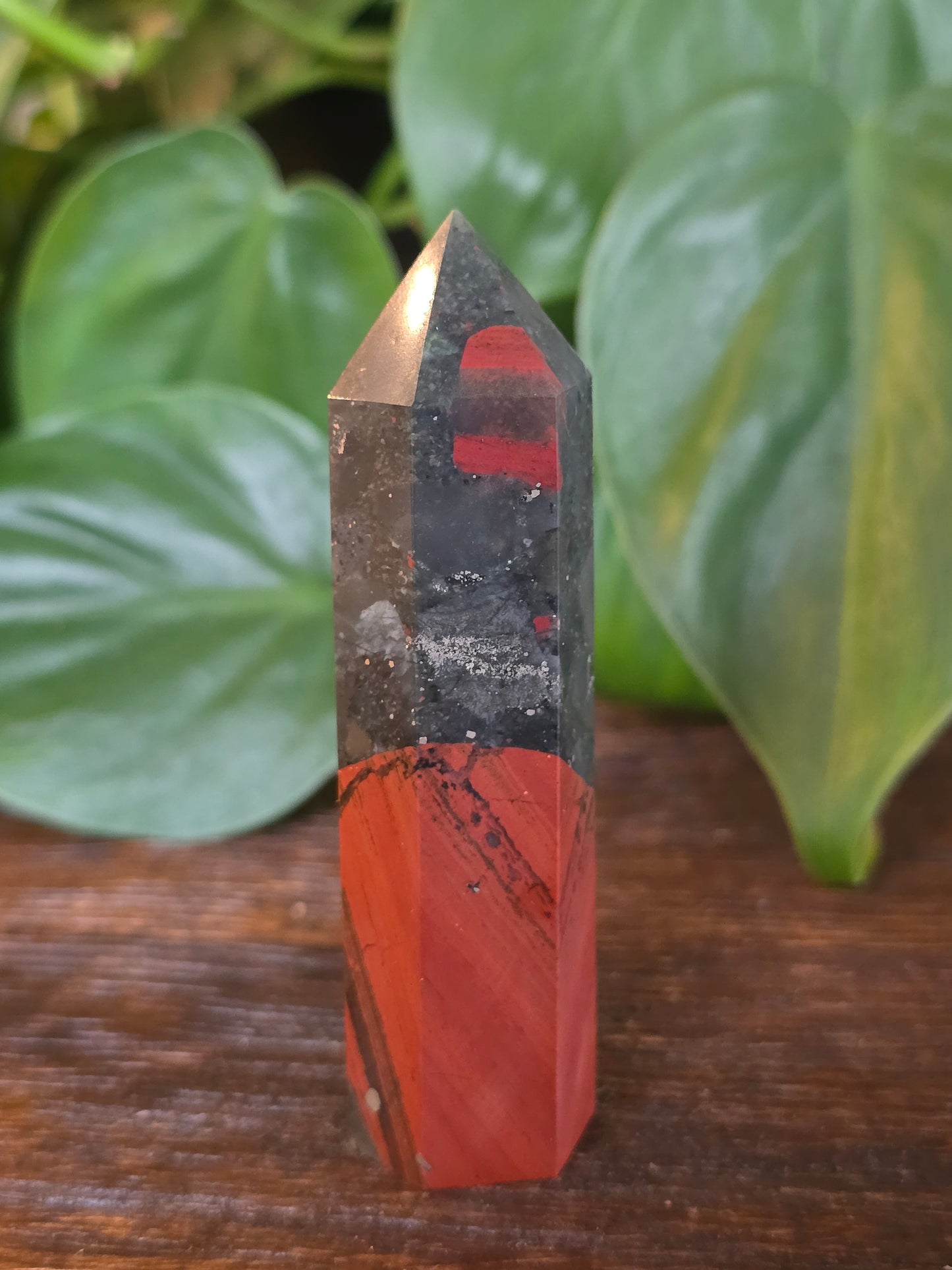 African Bloodstone Point "L"