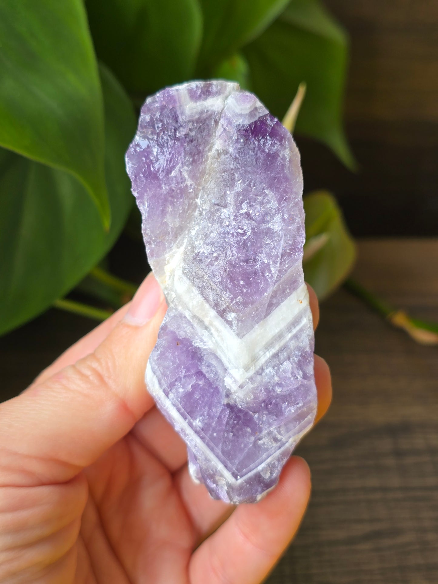 Rough Chevron Amethyst