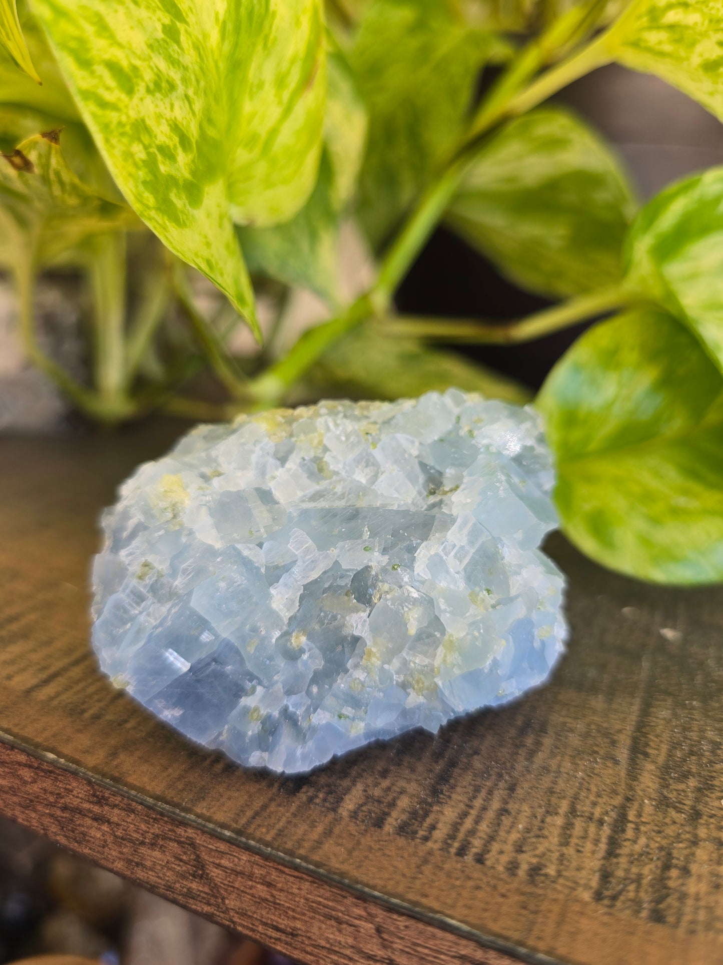 Celestite with Peridot Rough Specimen