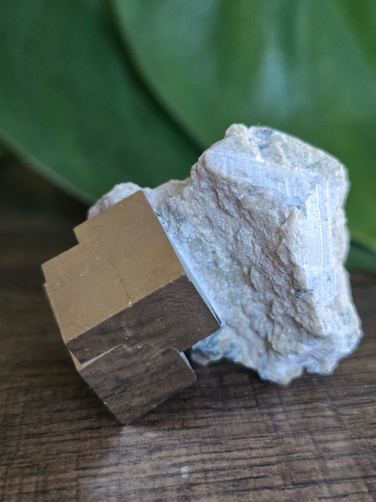Pyrite Cube on Host Stone