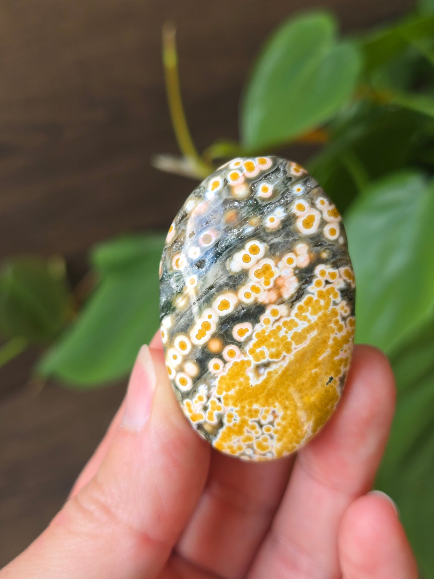 8th Vein Ocean Jasper Palm Stone