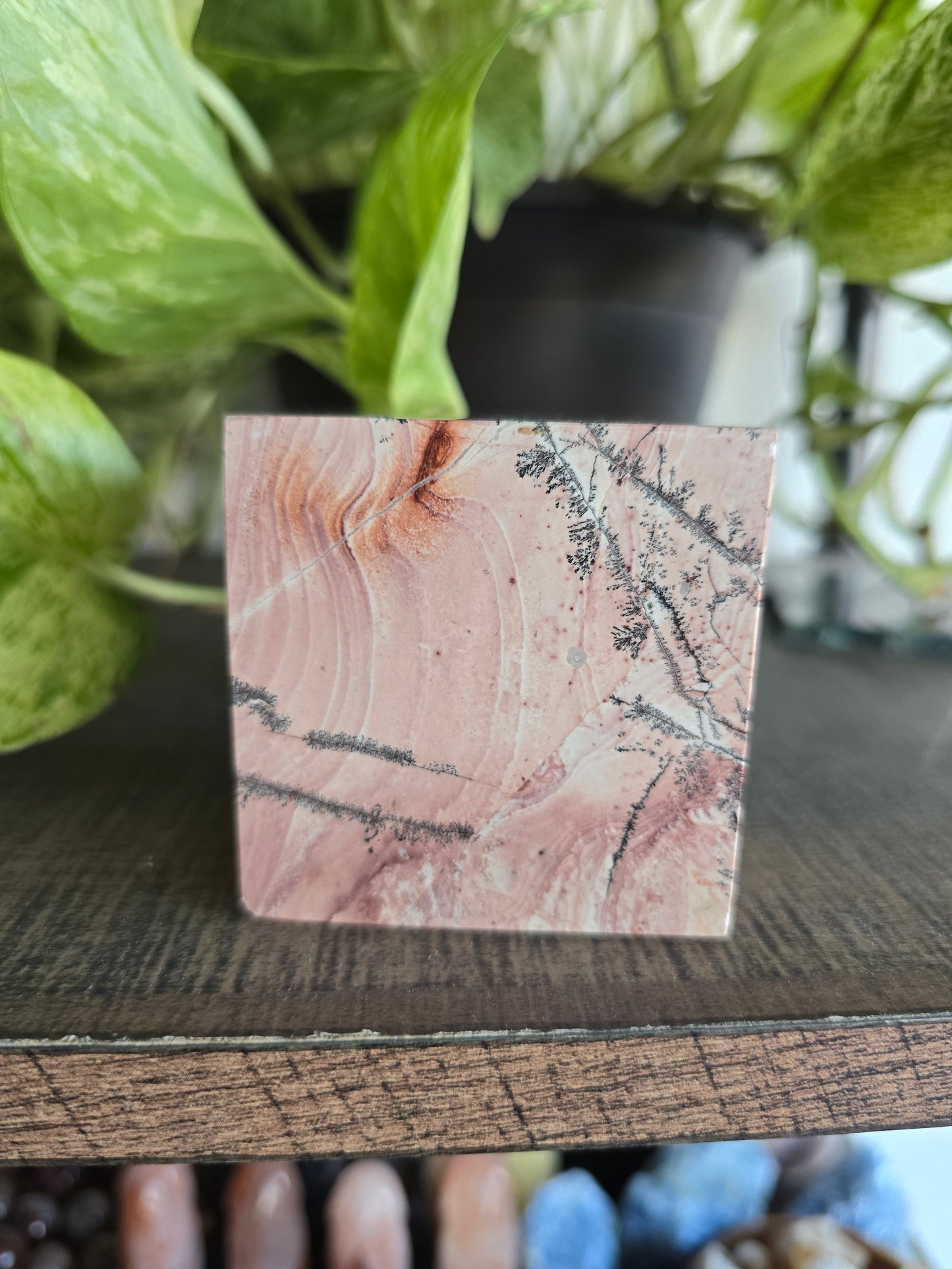 Picture Jasper Cube