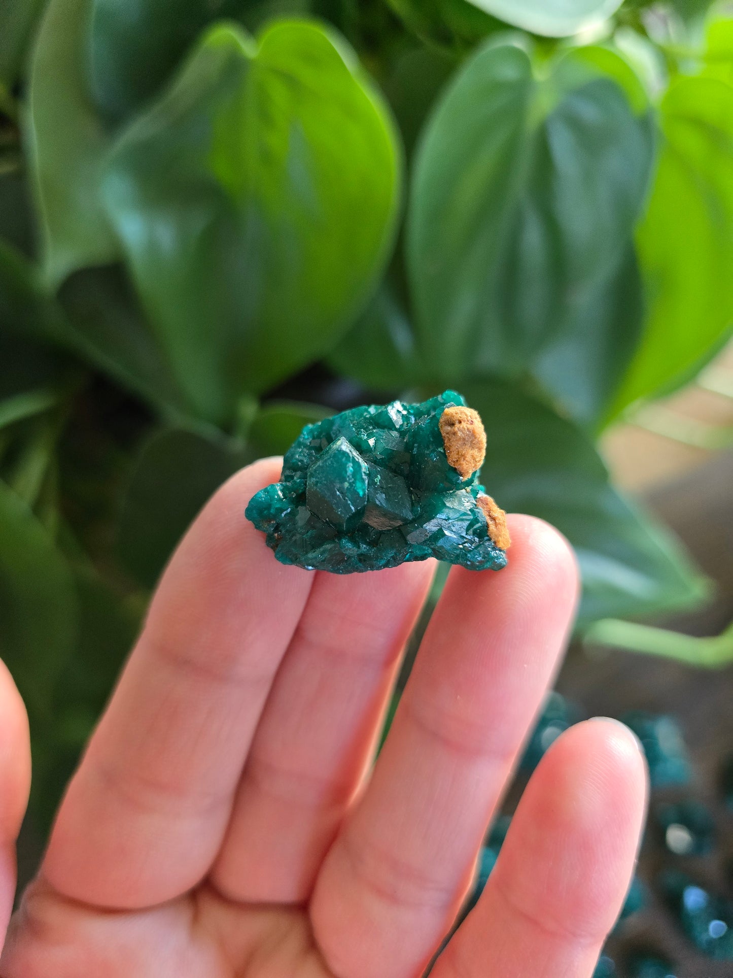 Dioptase Rough Specimen - Congo (8)