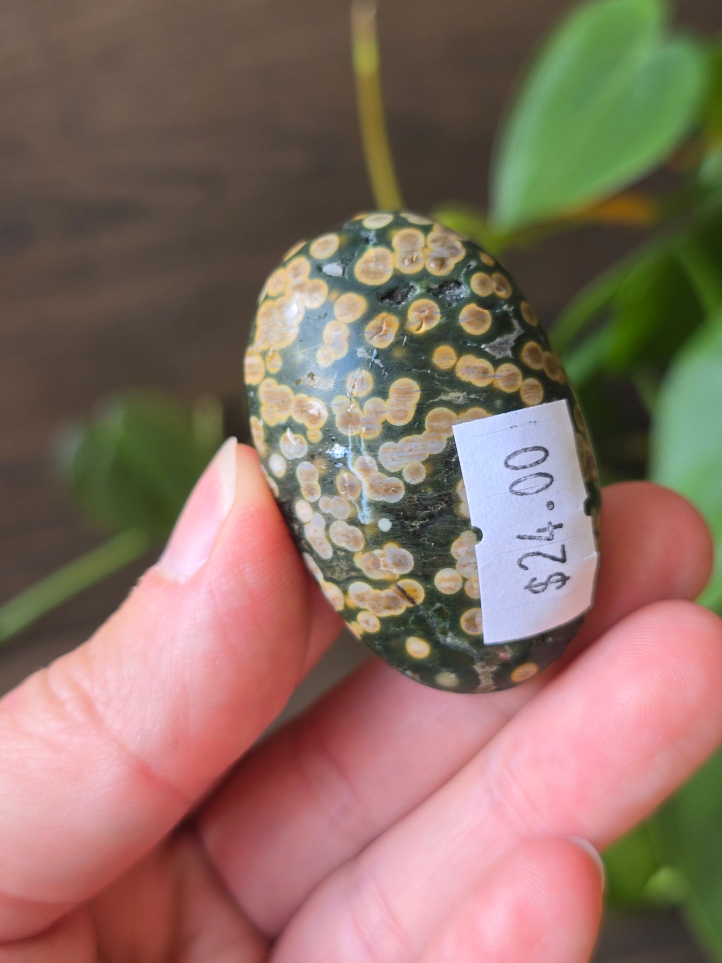 8th Vein Ocean Jasper Palm Stone