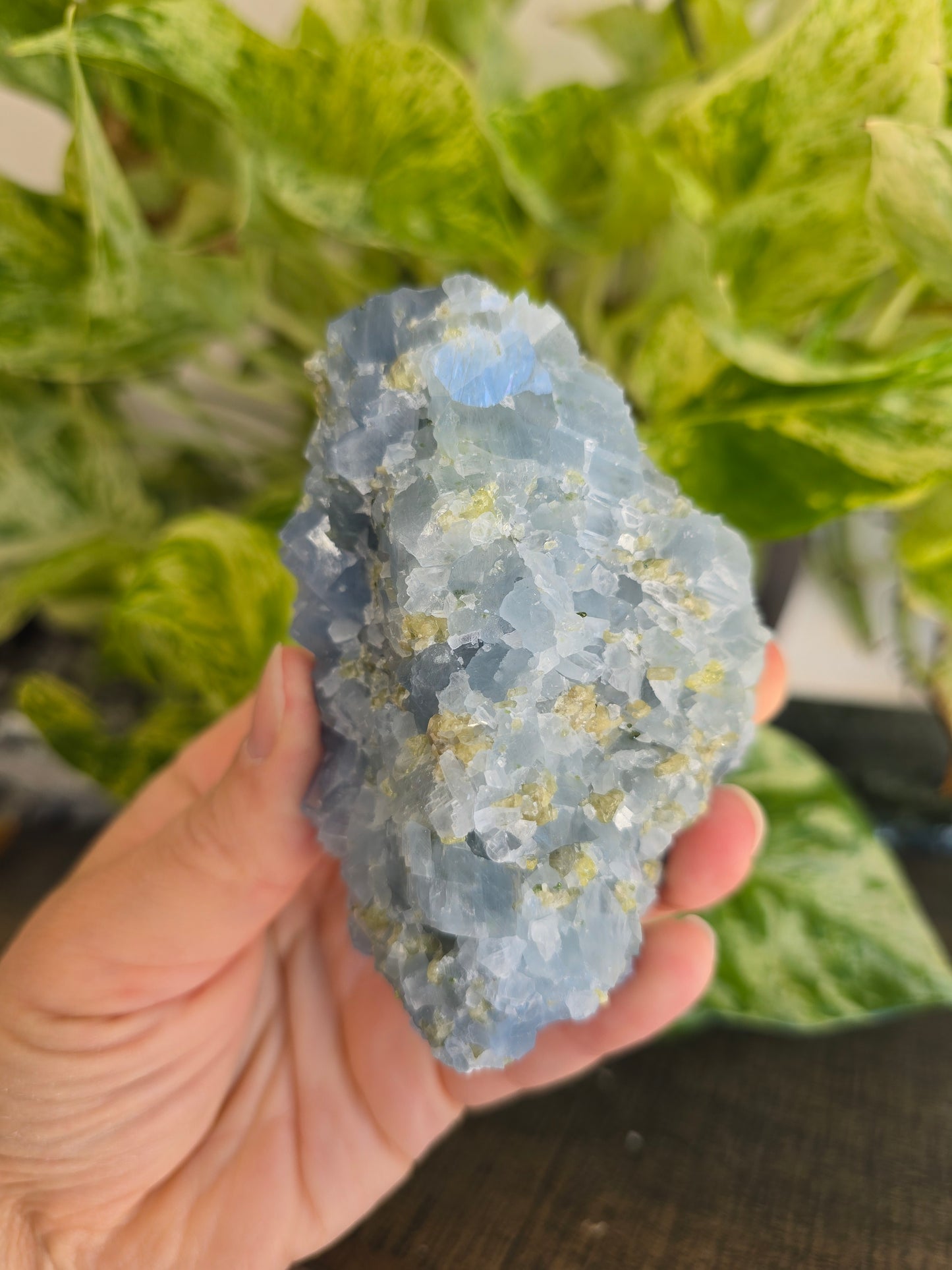Celestite with Peridot Rough Specimen