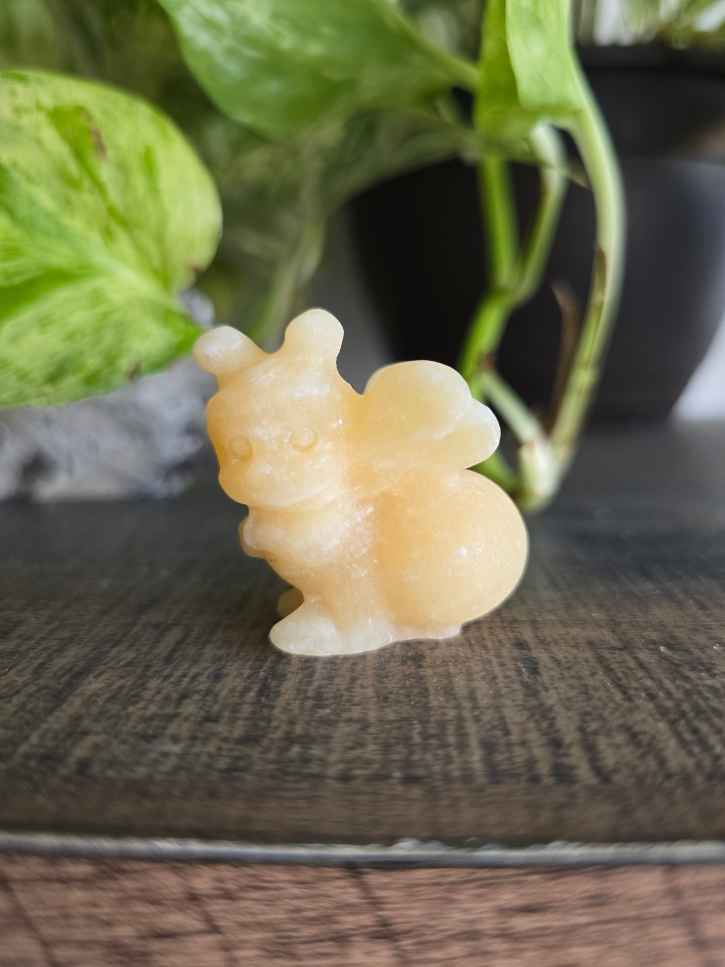 Yellow Calcite Bee