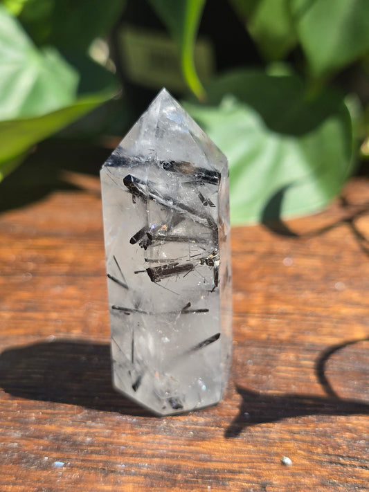 Black Tourmaline in Quartz Point "C"