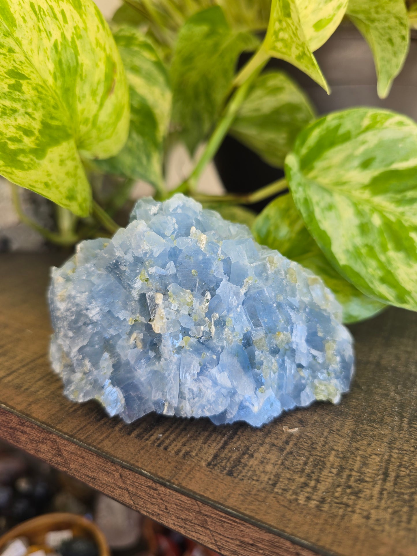 Celestite with Peridot Rough Specimen