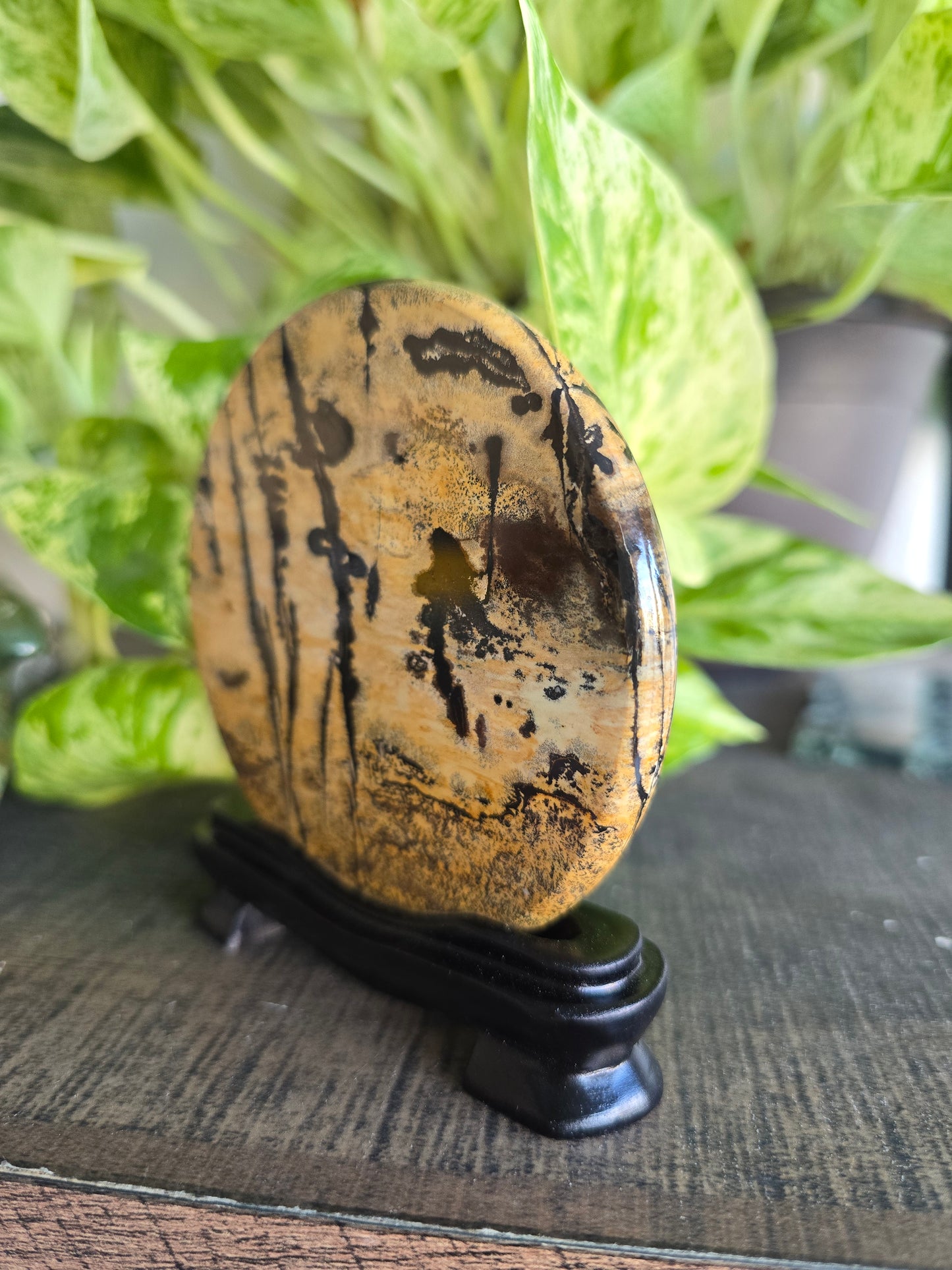 Picture Jasper Disk With Stand