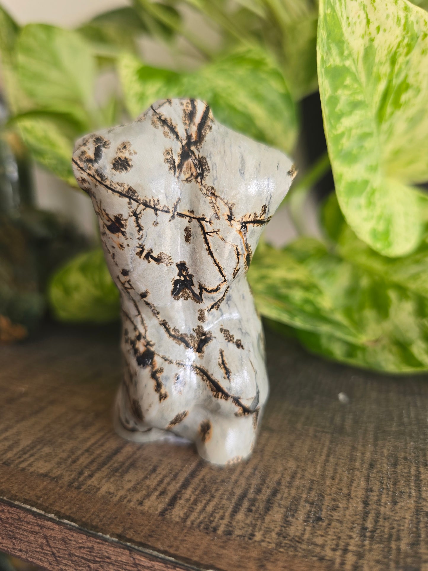 Picture Jasper Male Torso