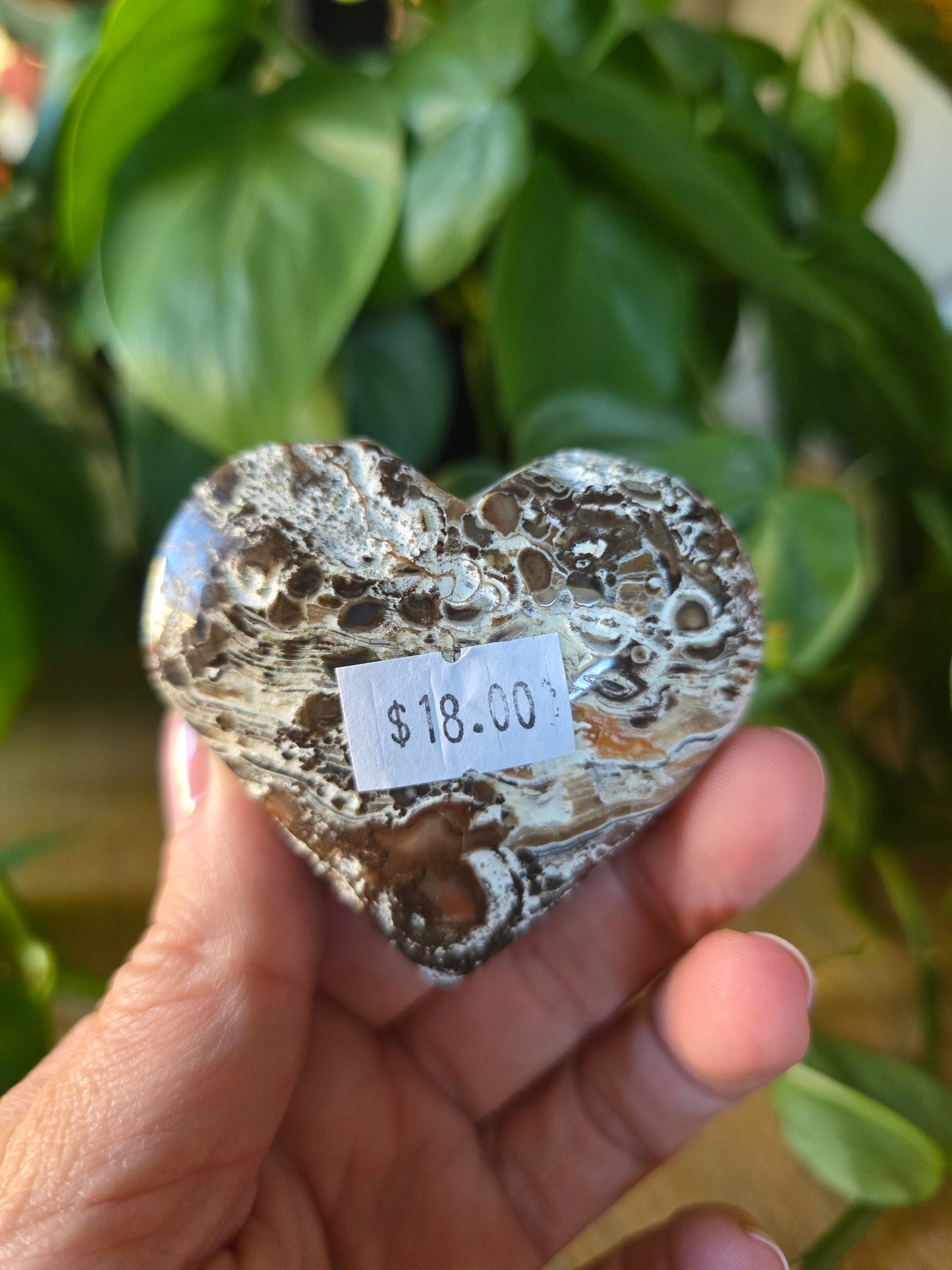 Money Agate Heart