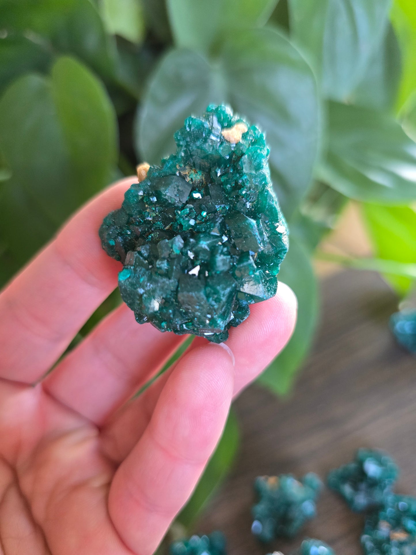 Dioptase Rough Specimen - Congo (25)