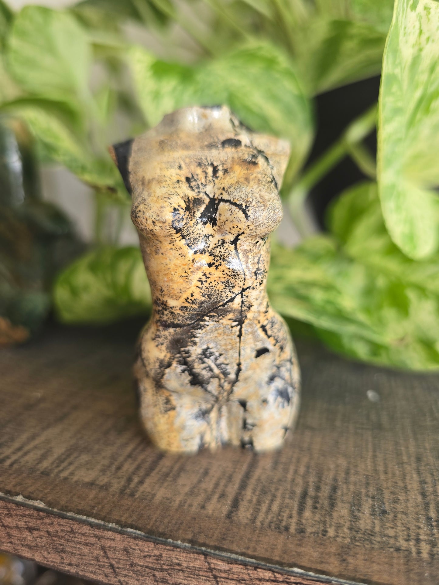 Picture Jasper Female Torso