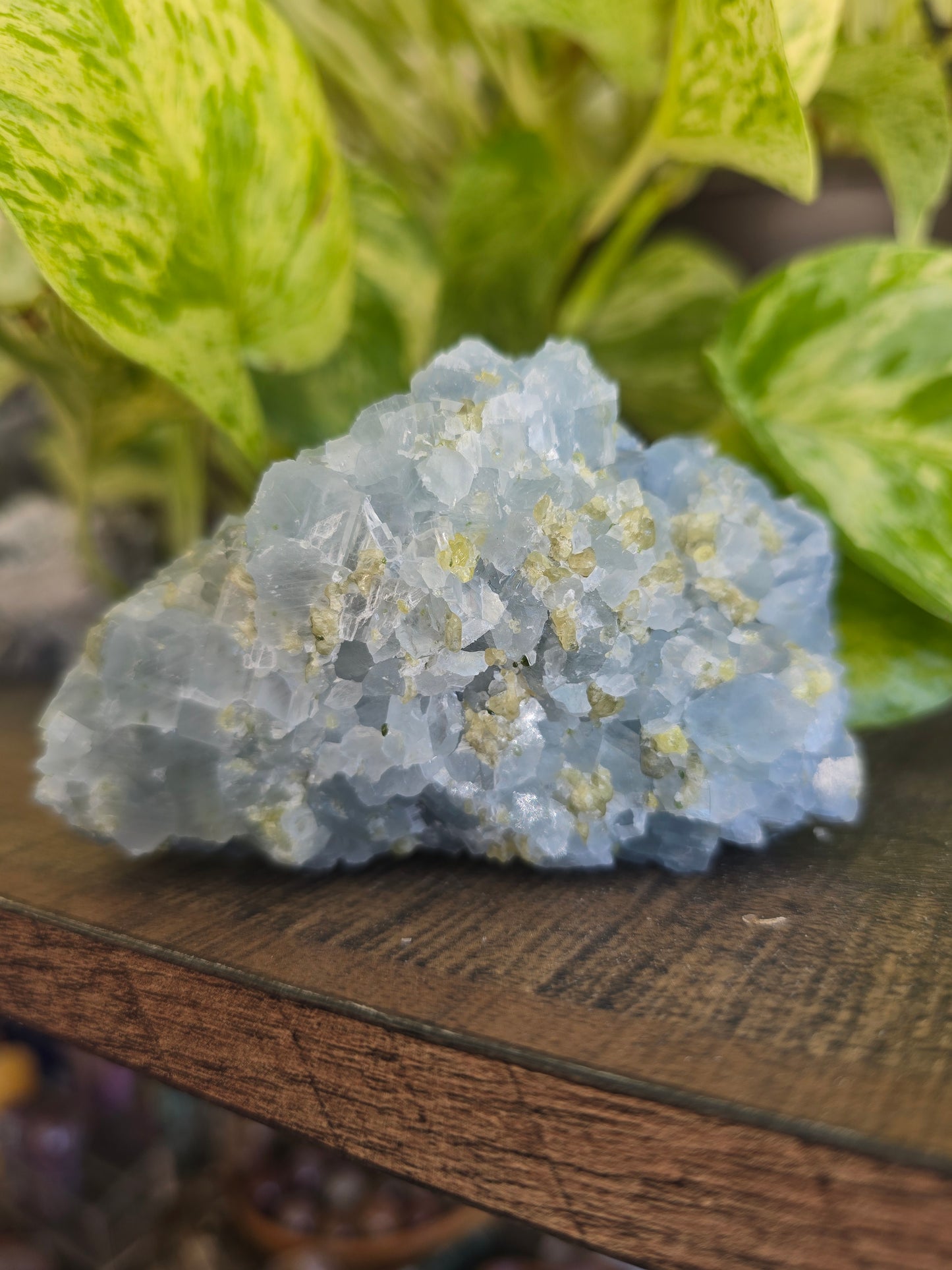 Celestite with Peridot Rough Specimen