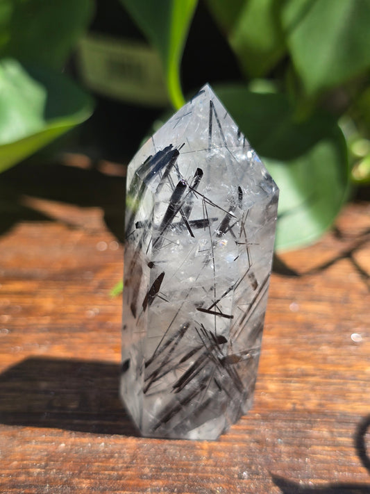 Black Tourmaline in Quartz Point "B"