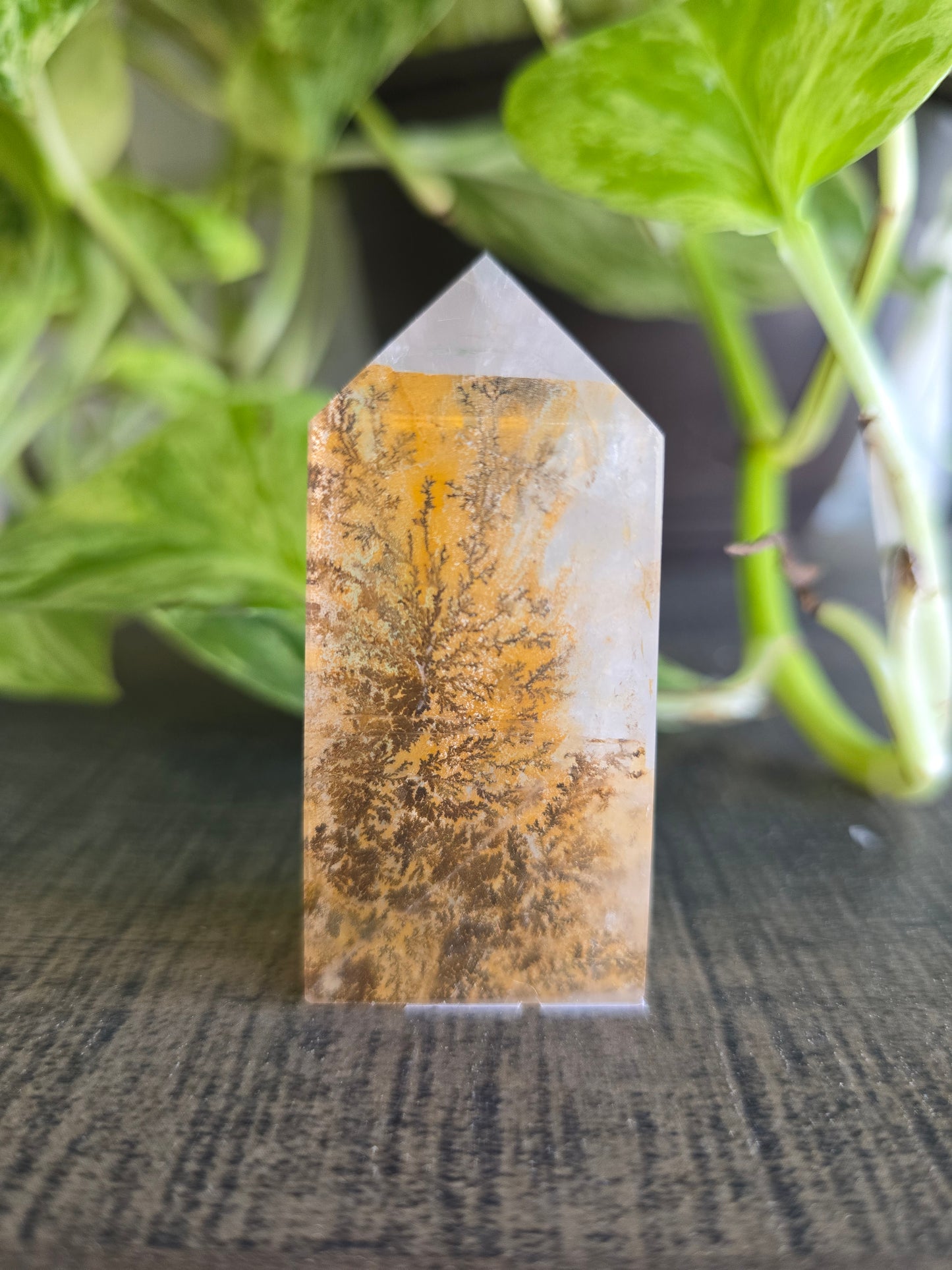 Dendritic Quartz Obelisk