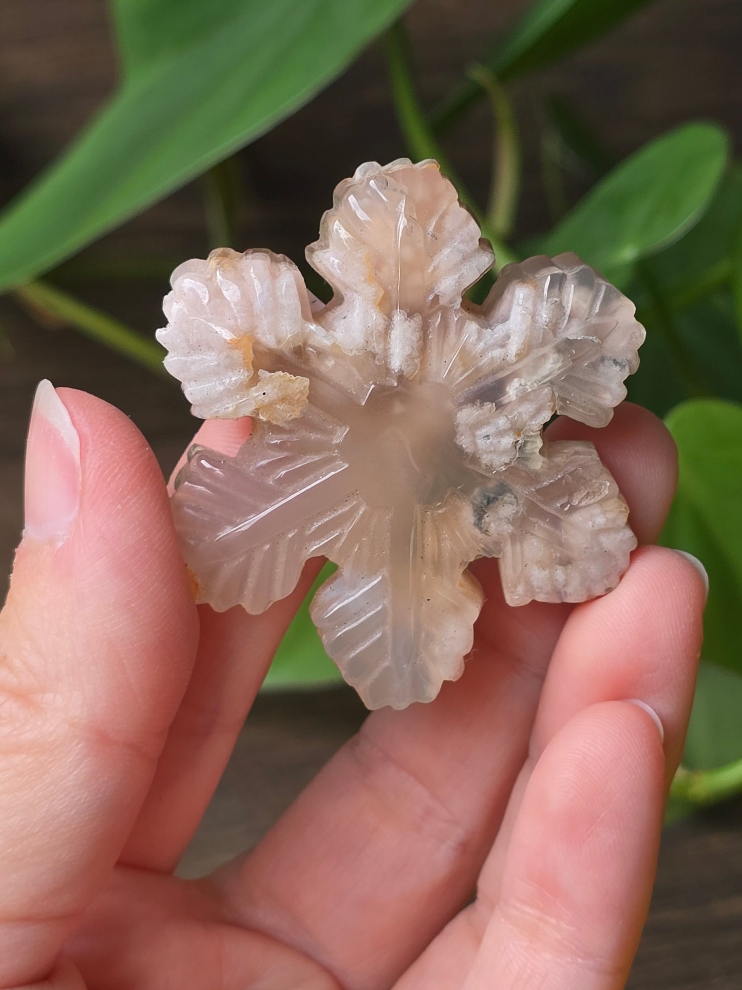 Flower Agate Snowflake