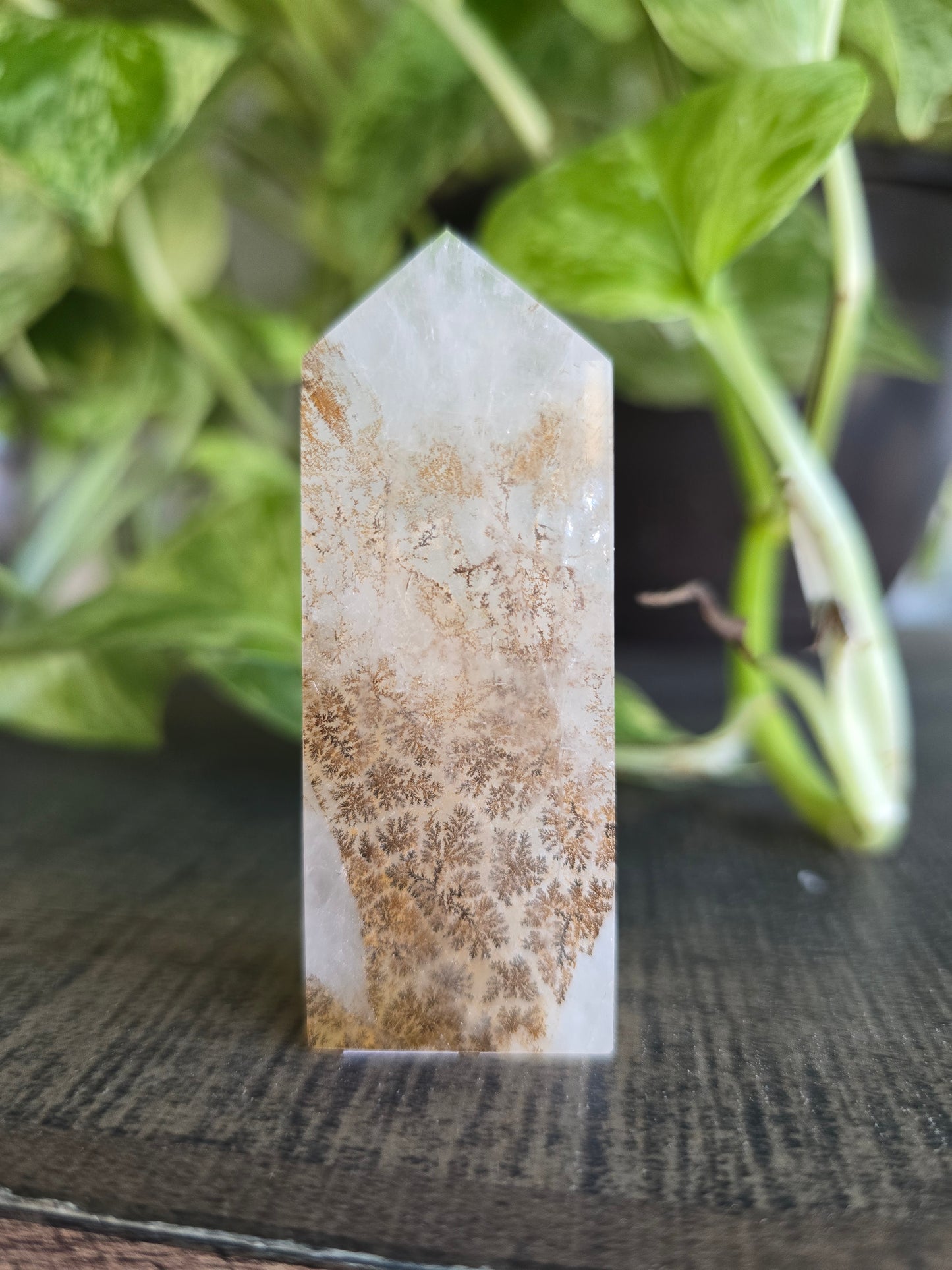 Dendritic Quartz Obelisk