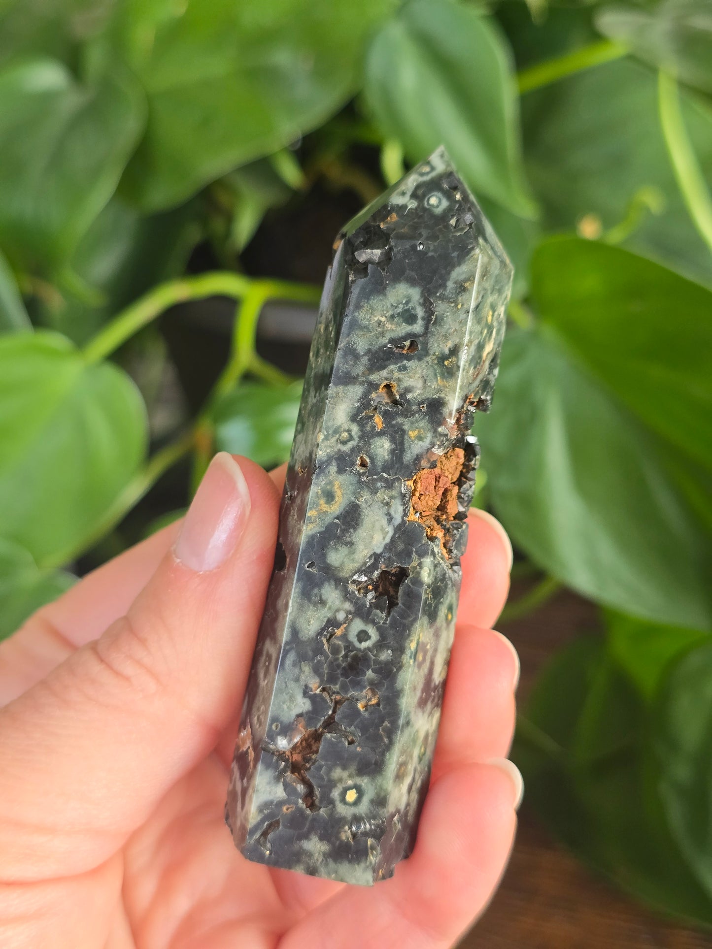 Green Ocean Jasper Tower "C"