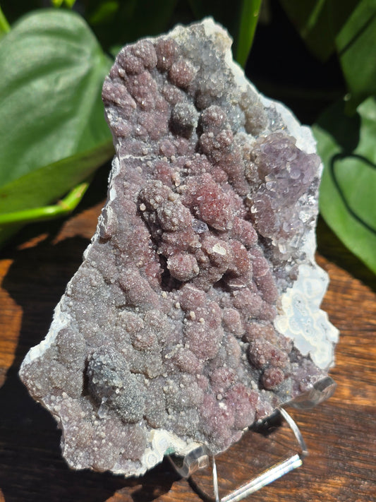 Brazilian Impression Amethyst Plate
