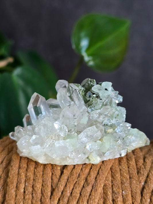 Prehnite and Epidote on Quartz Matrix