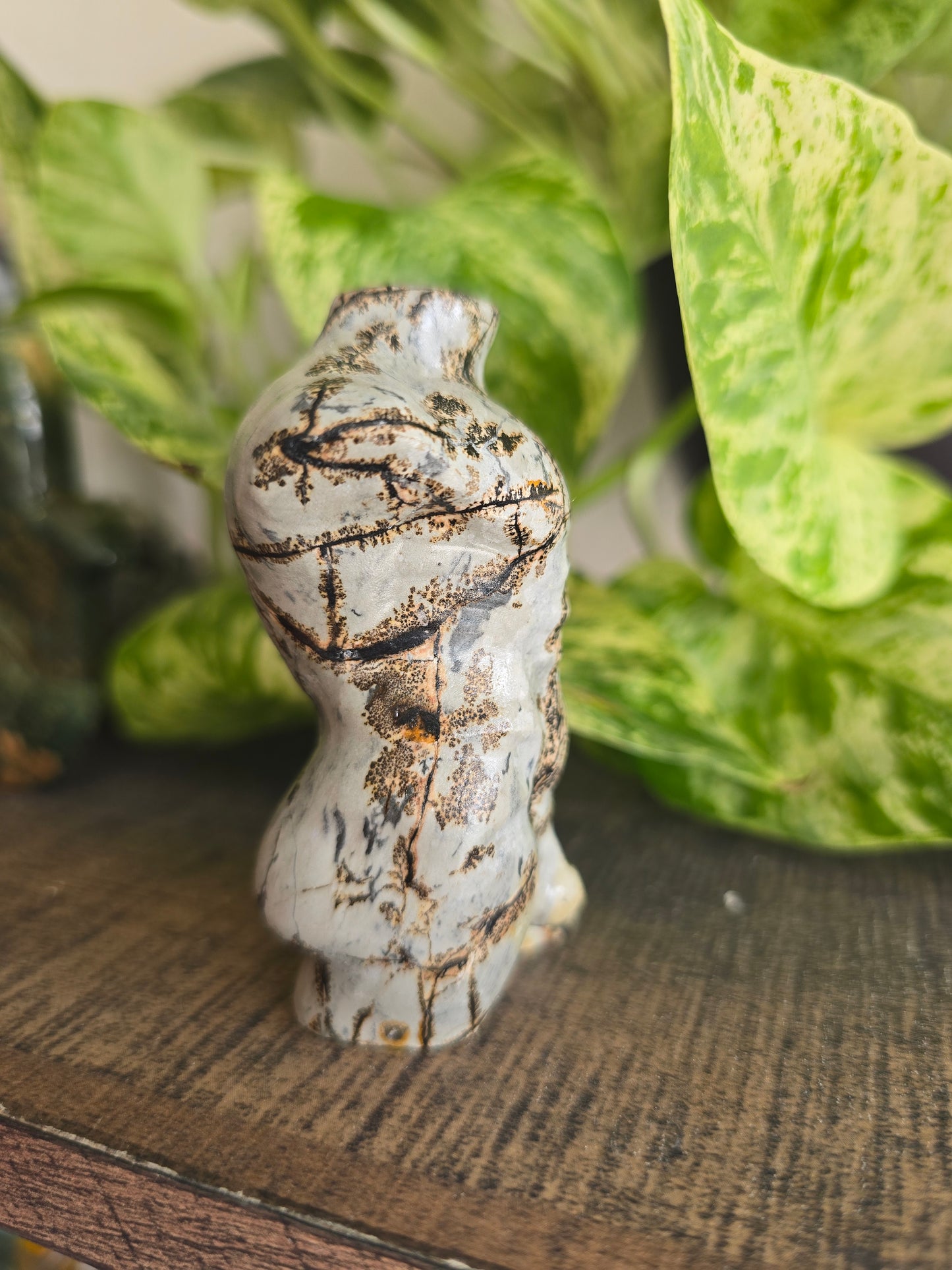 Picture Jasper Male Torso