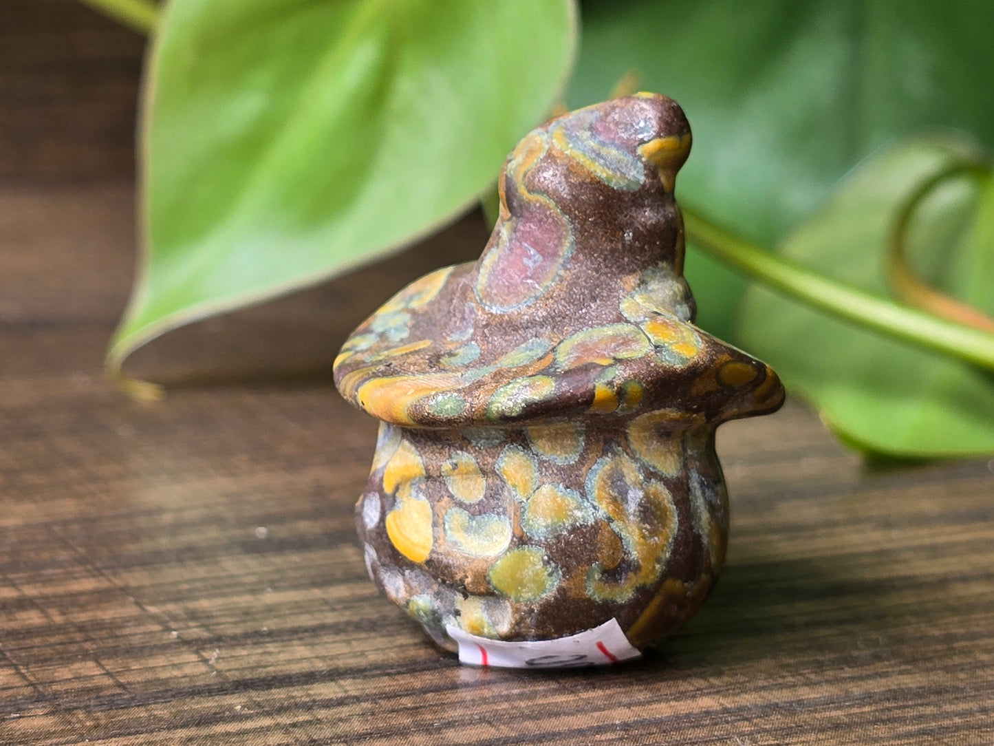 Fruit Jasper Pumpkin Witch