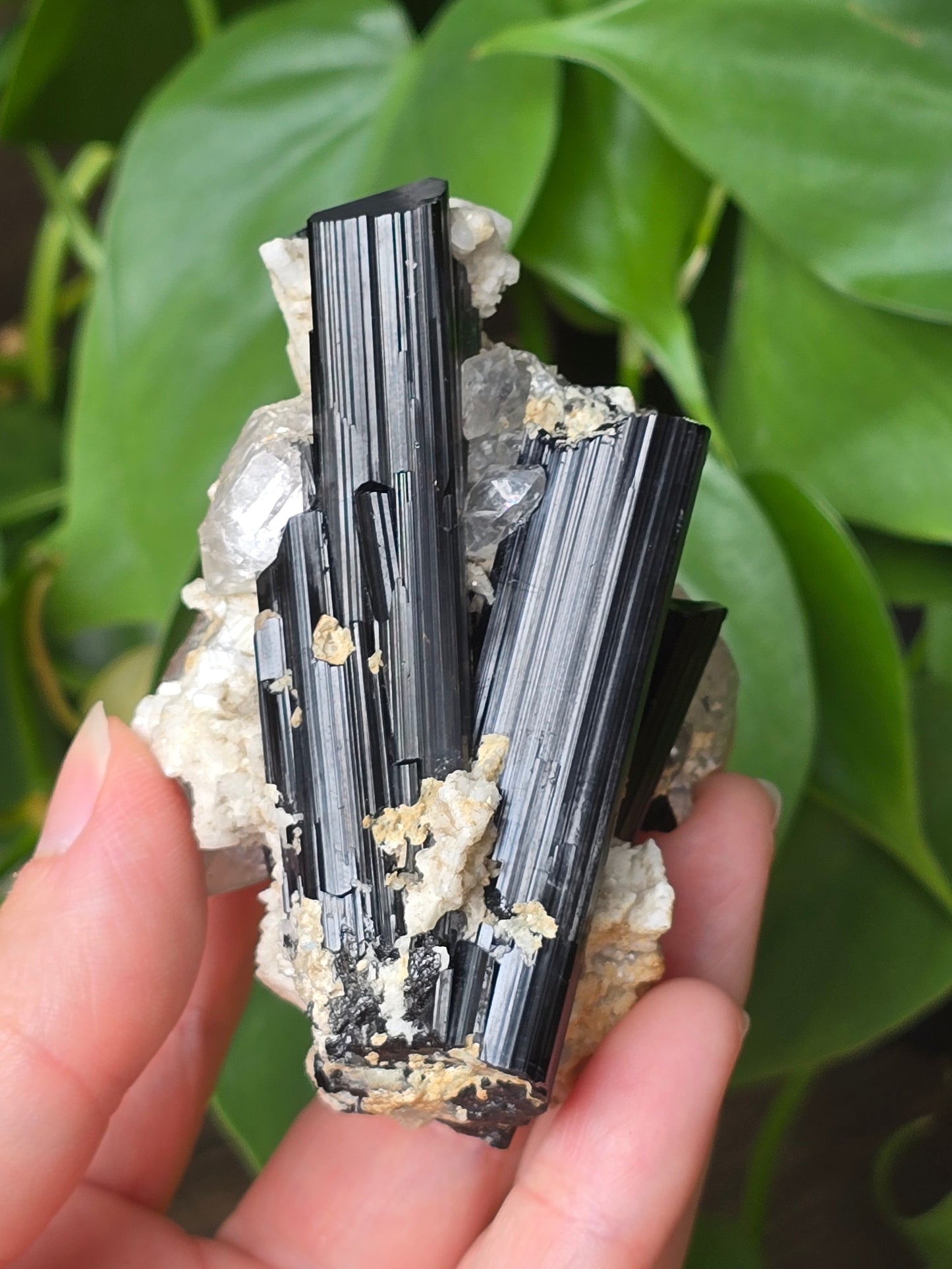 High Quality Black Tourmaline on Quartz Matrix