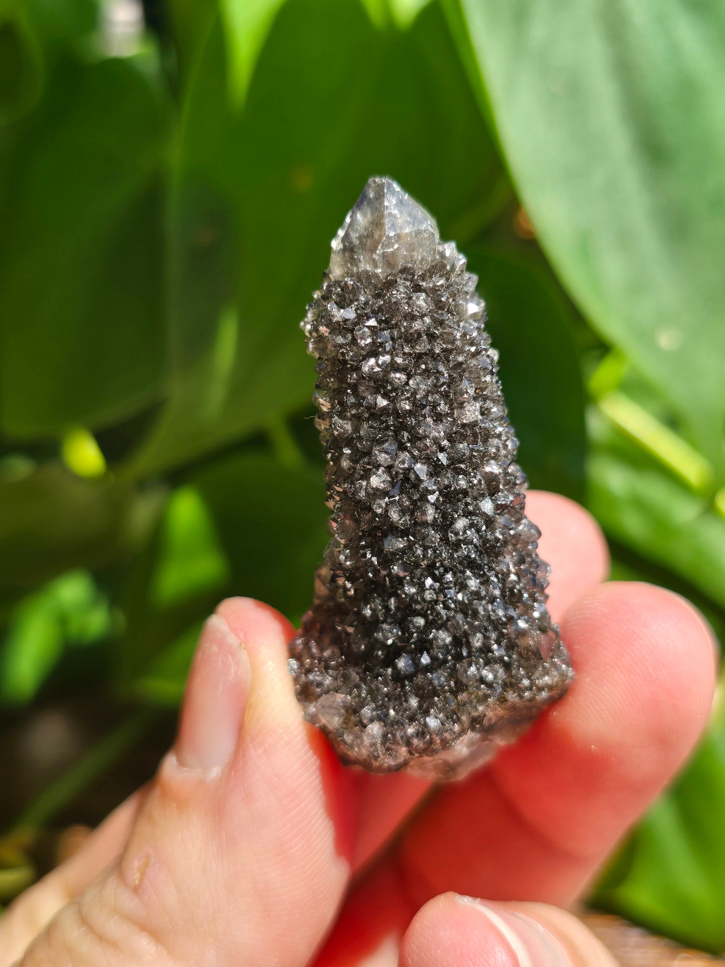 Smoky Black Spirit Quartz Specimen "B"