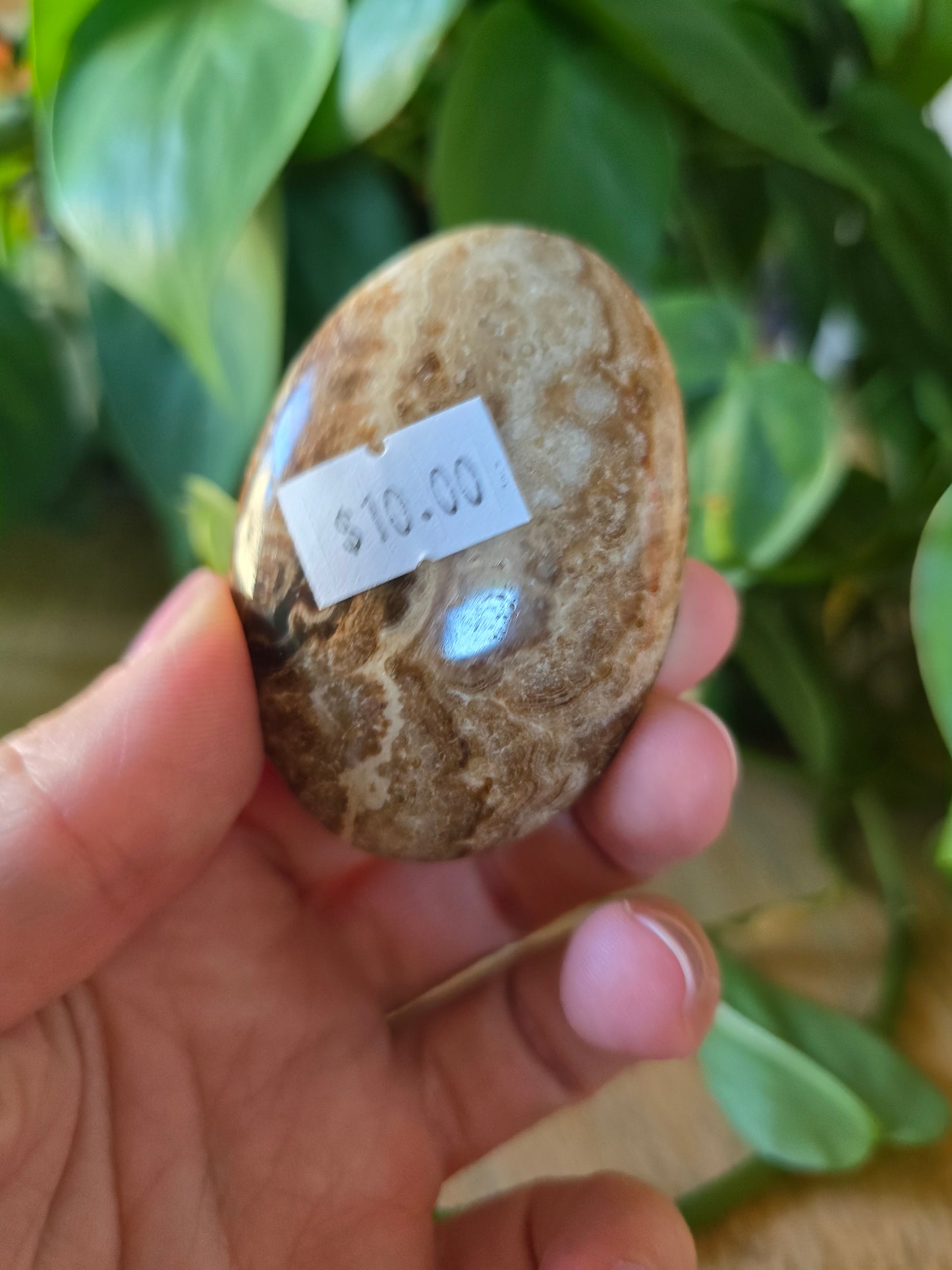 Chocolate Calcite Palm Stone