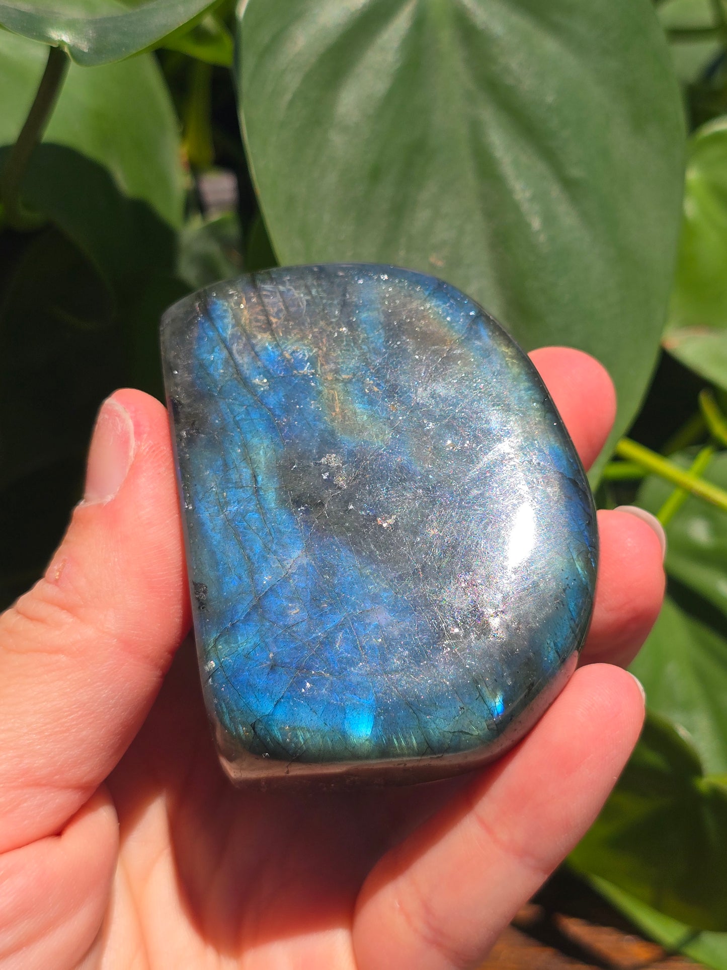 Labradorite Crystal Free Form Carving "F"