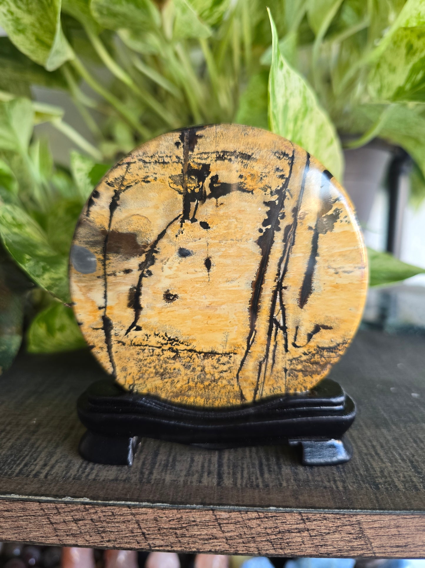 Picture Jasper Disk With Stand