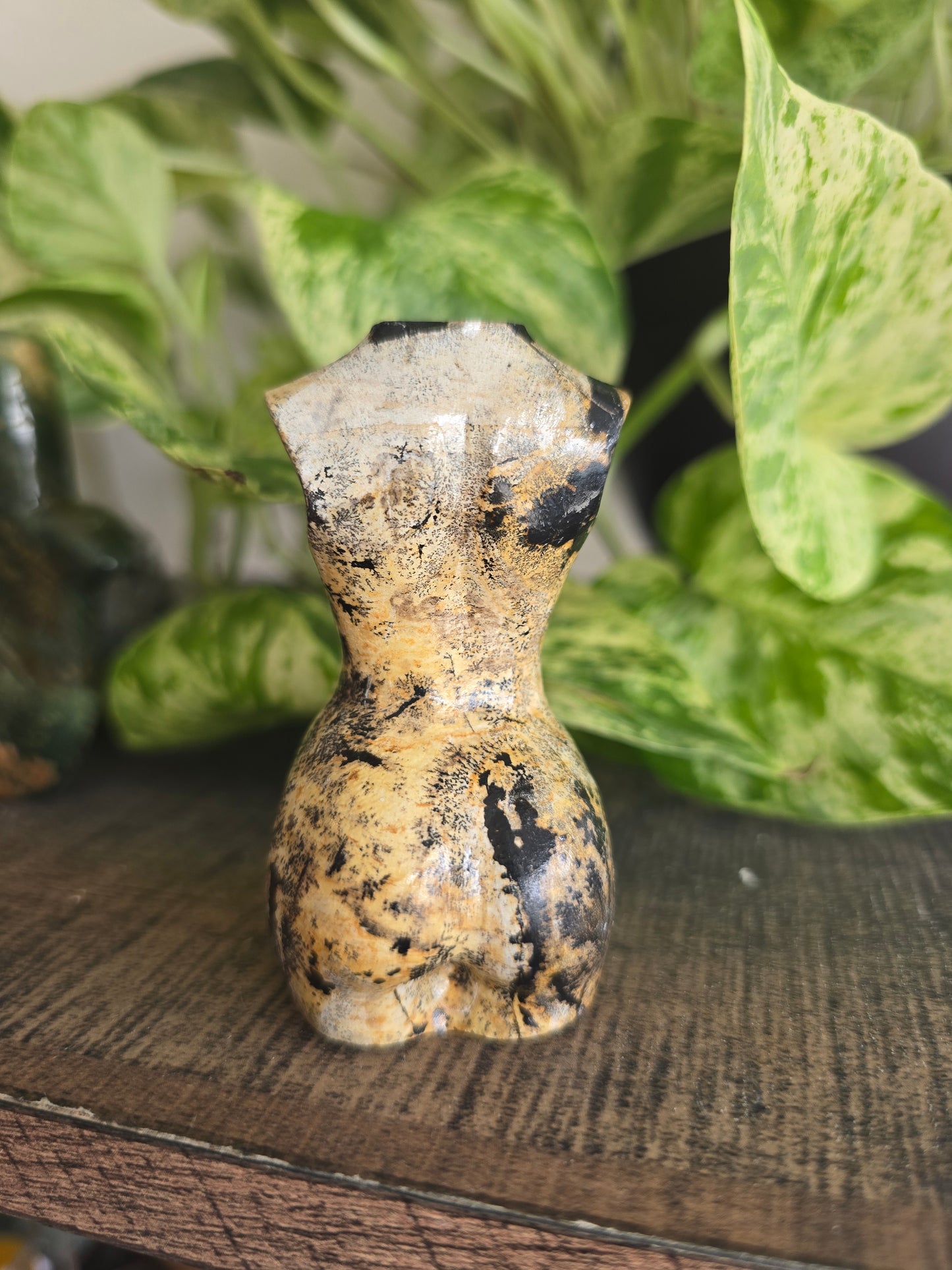 Picture Jasper Female Torso