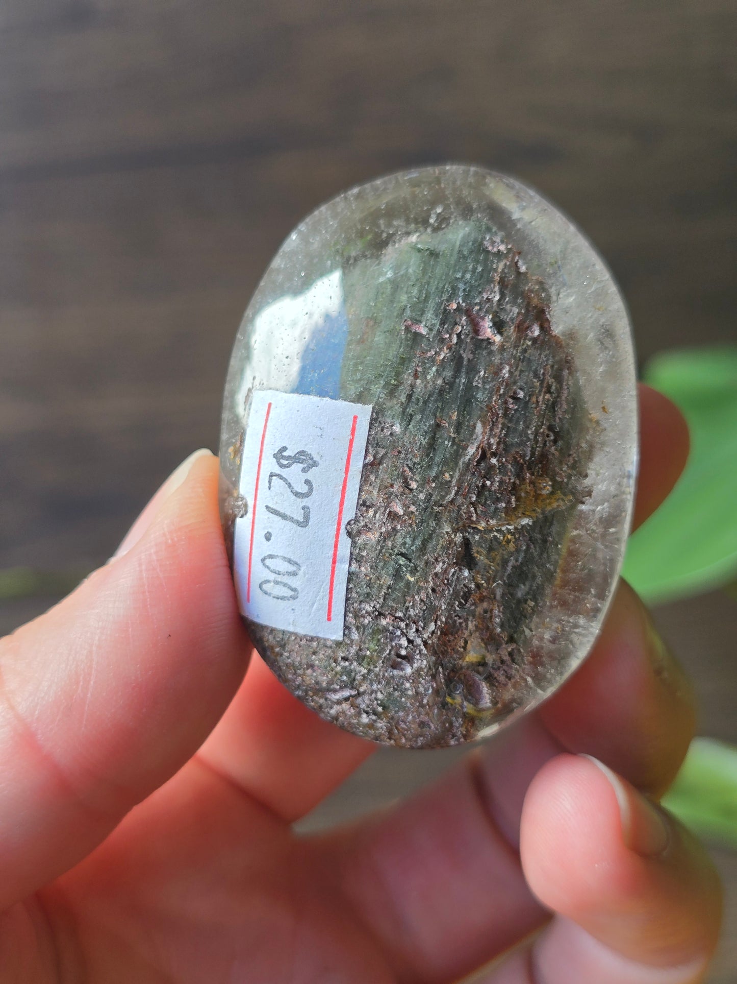 Garden Quartz (Lodolite) Palm Stone