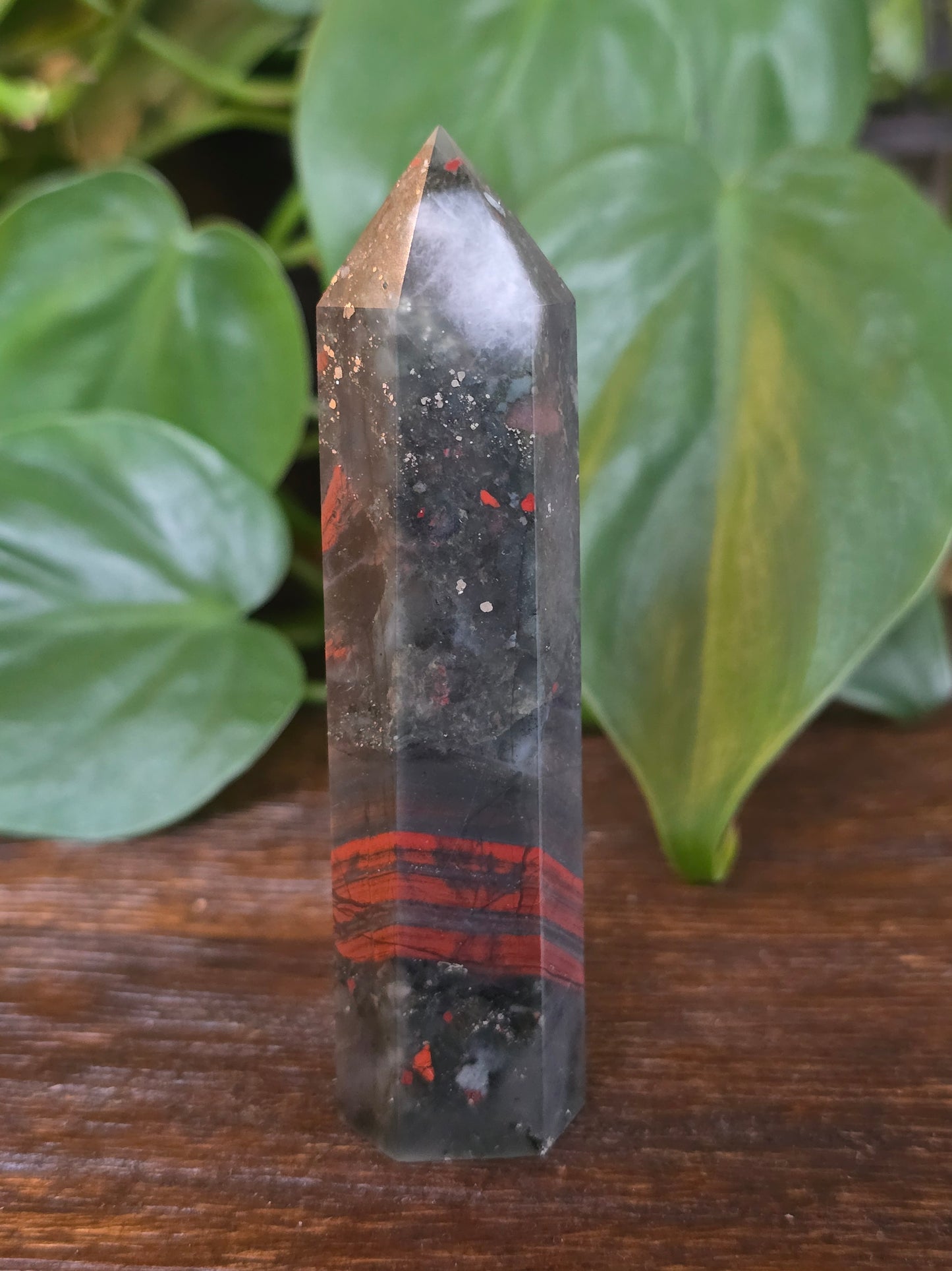 African Bloodstone Point "K"