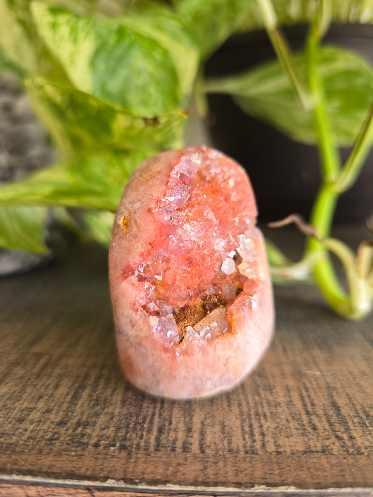 Brazilian Pink Amethyst Cluster