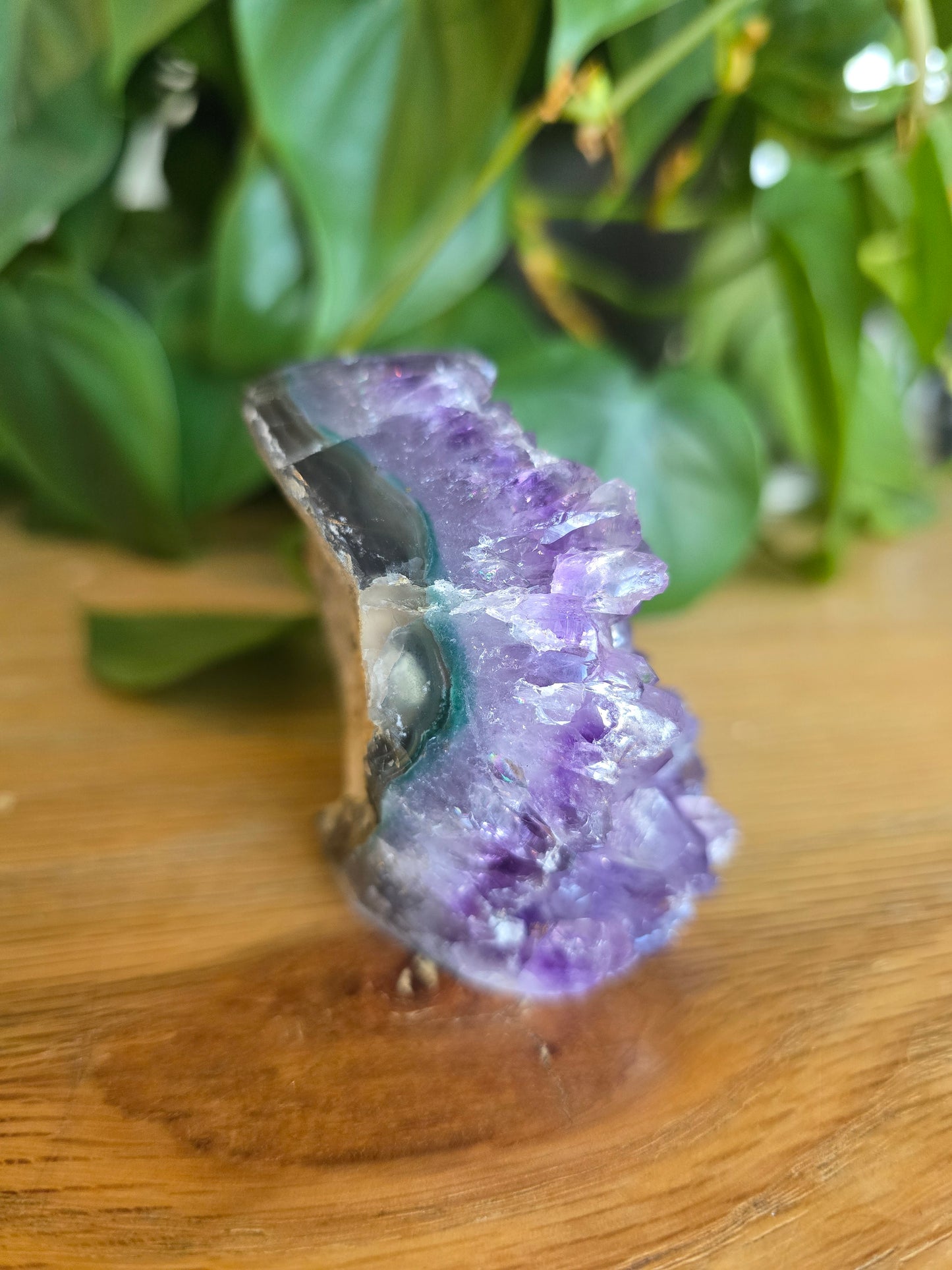 Druzy Amethyst Cluster