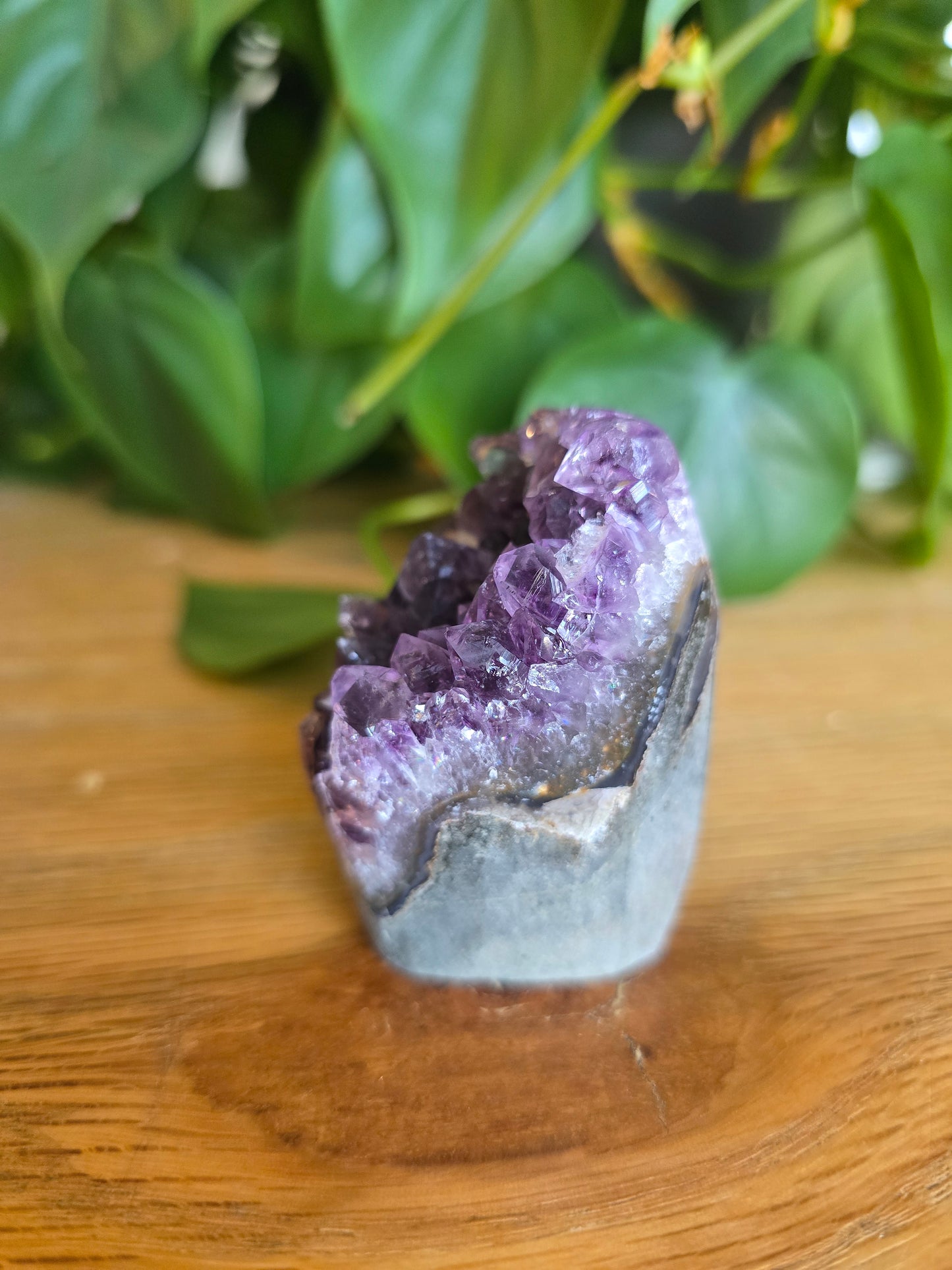 Druzy Amethyst Cluster