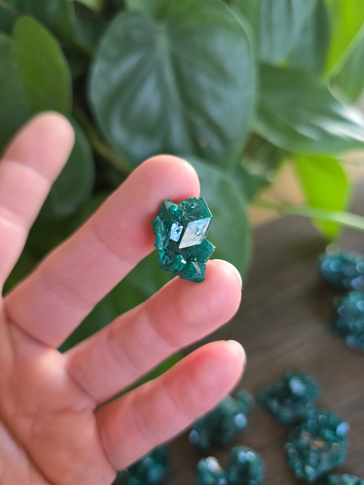 Dioptase Rough Specimen - Congo (24)