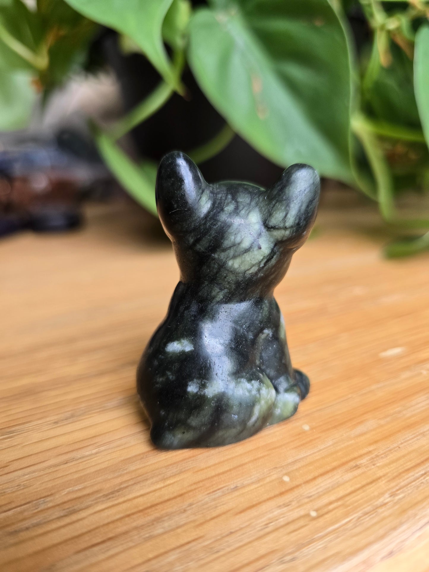 Serpentine French Bulldog