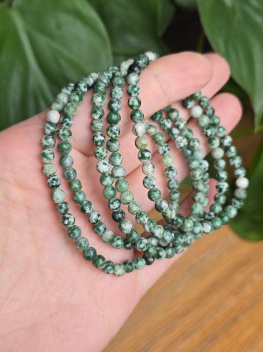 Tree Agate Stretch Bracelet