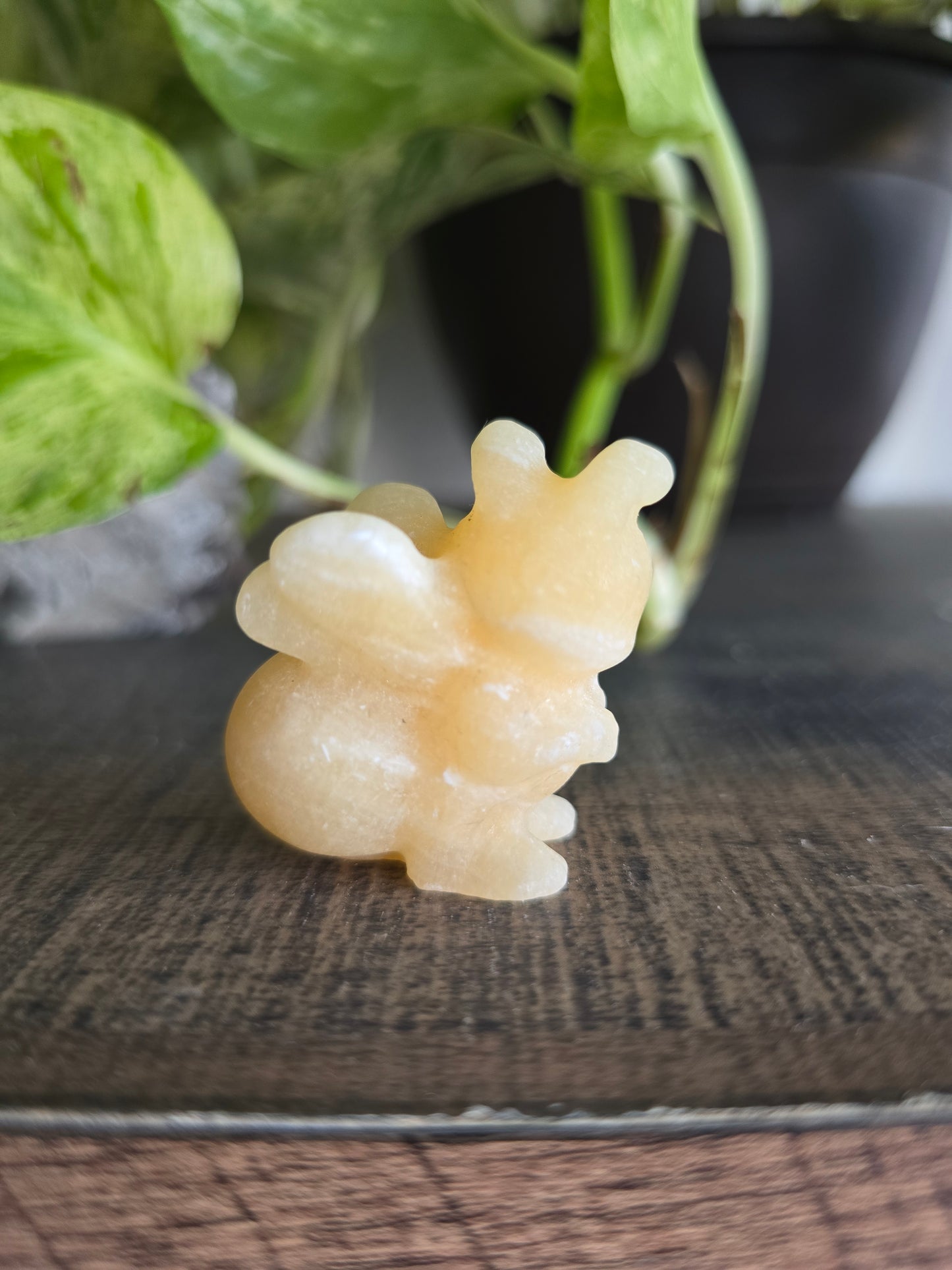 Yellow Calcite Bee