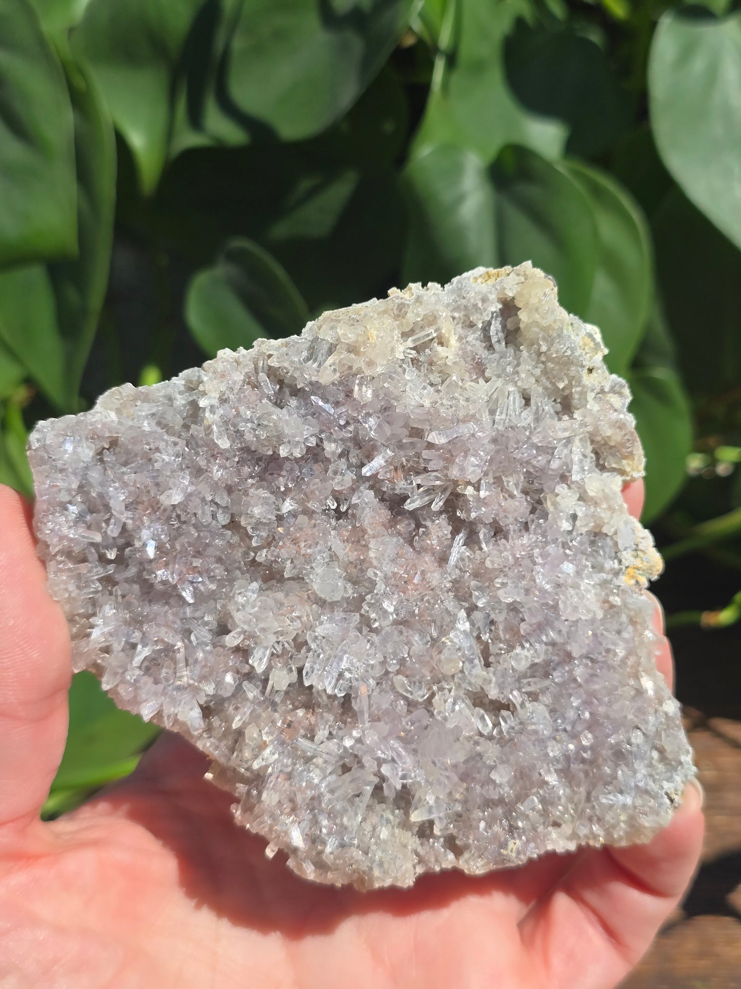Brazilian Impression Amethyst Plate