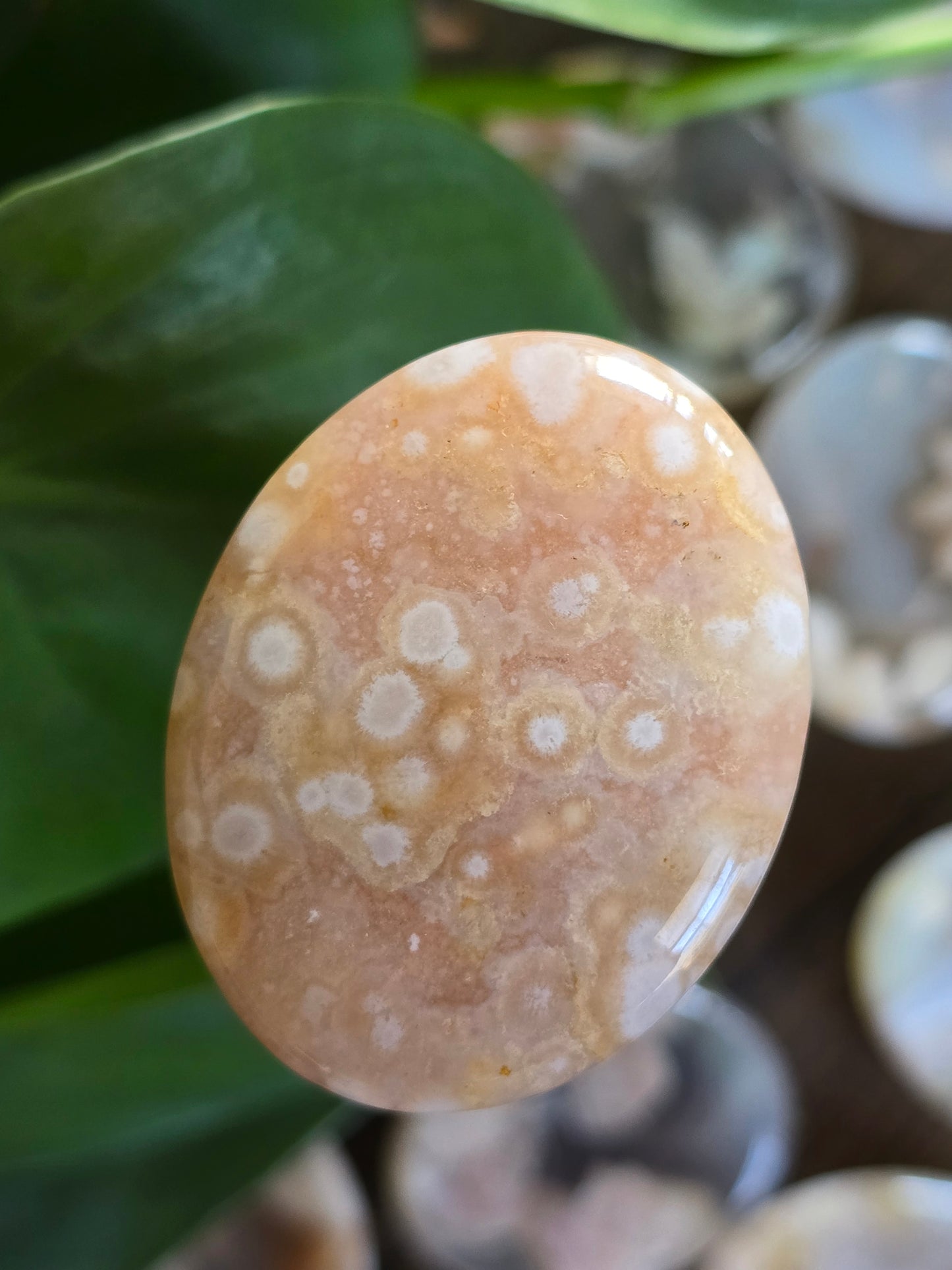 Flower Agate Worry Stone